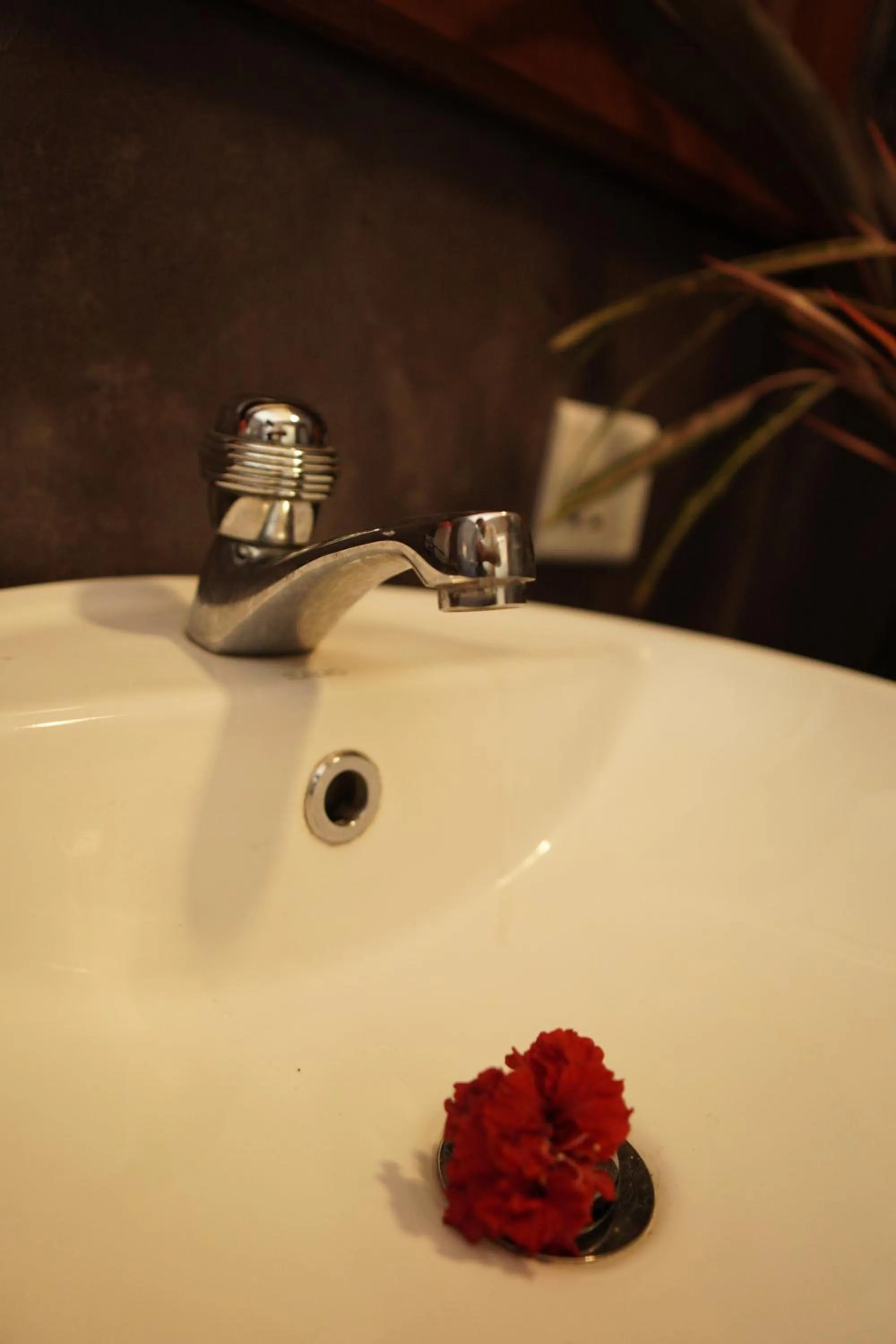 Bathroom in Surf Nest Hiriketiya