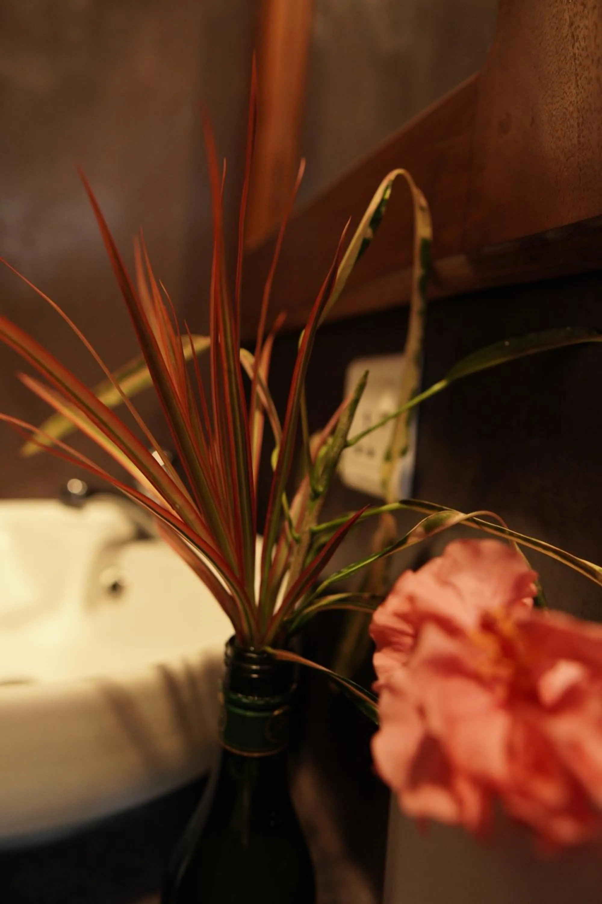 Surf Nest Hiriketiya