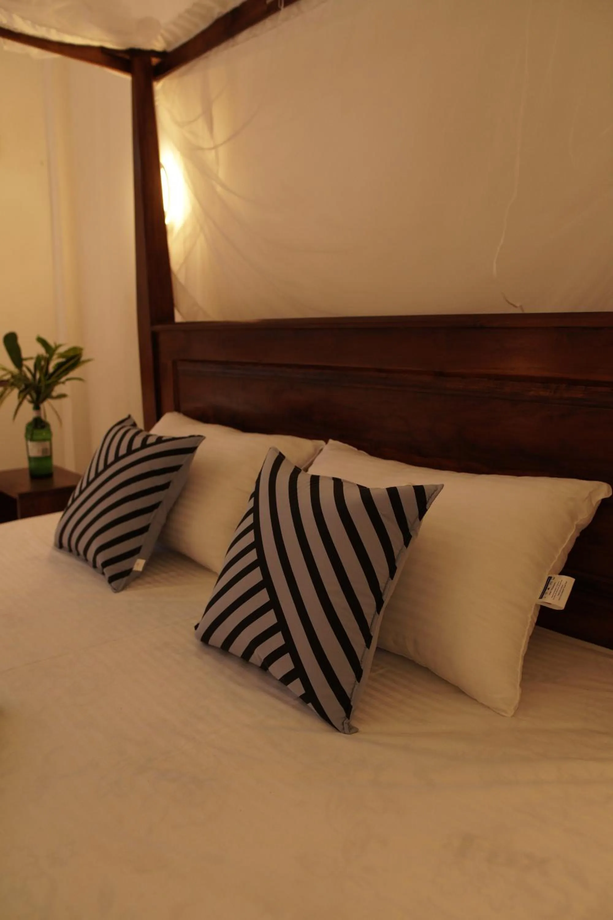 Bed in Surf Nest Hiriketiya