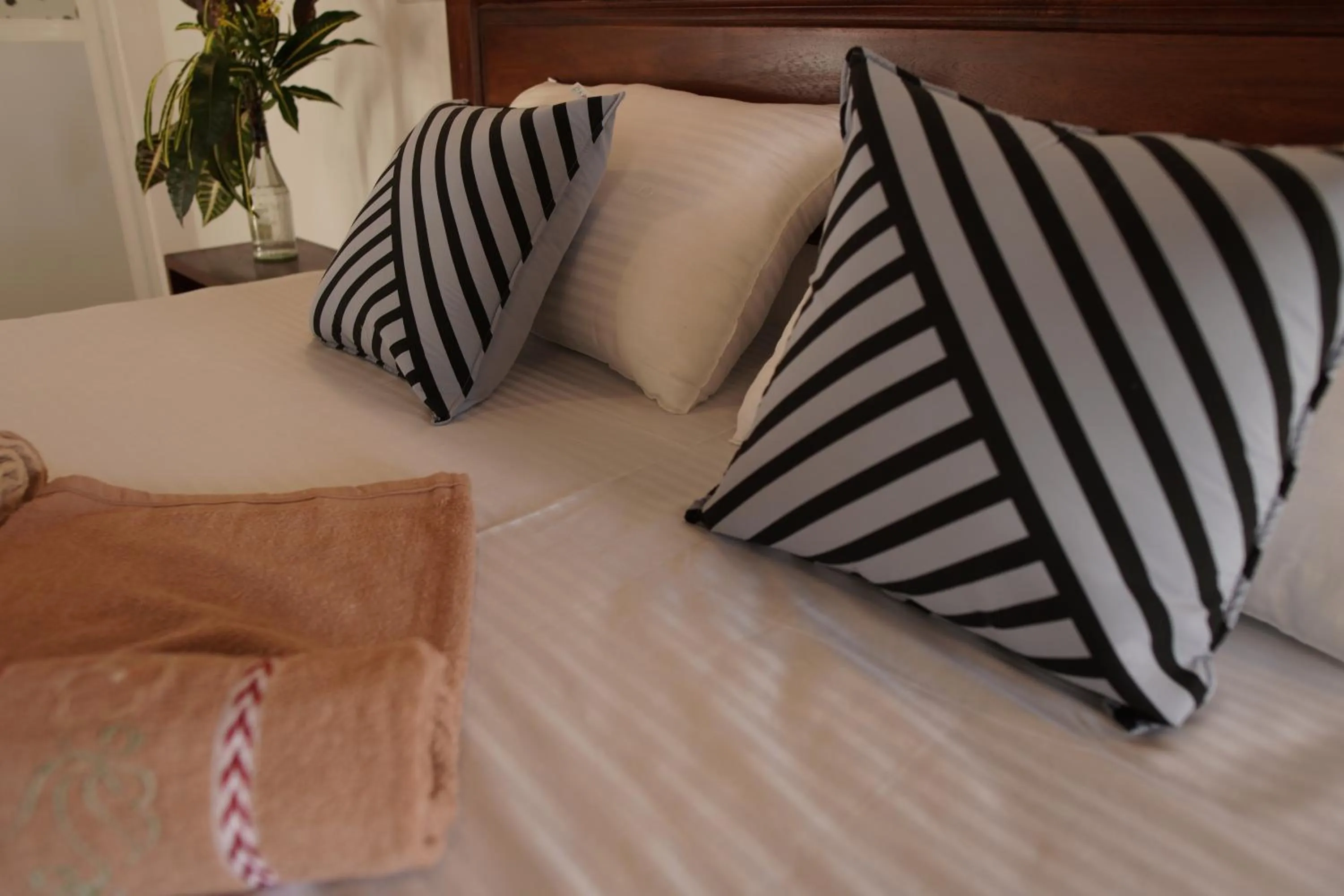 Bed in Surf Nest Hiriketiya