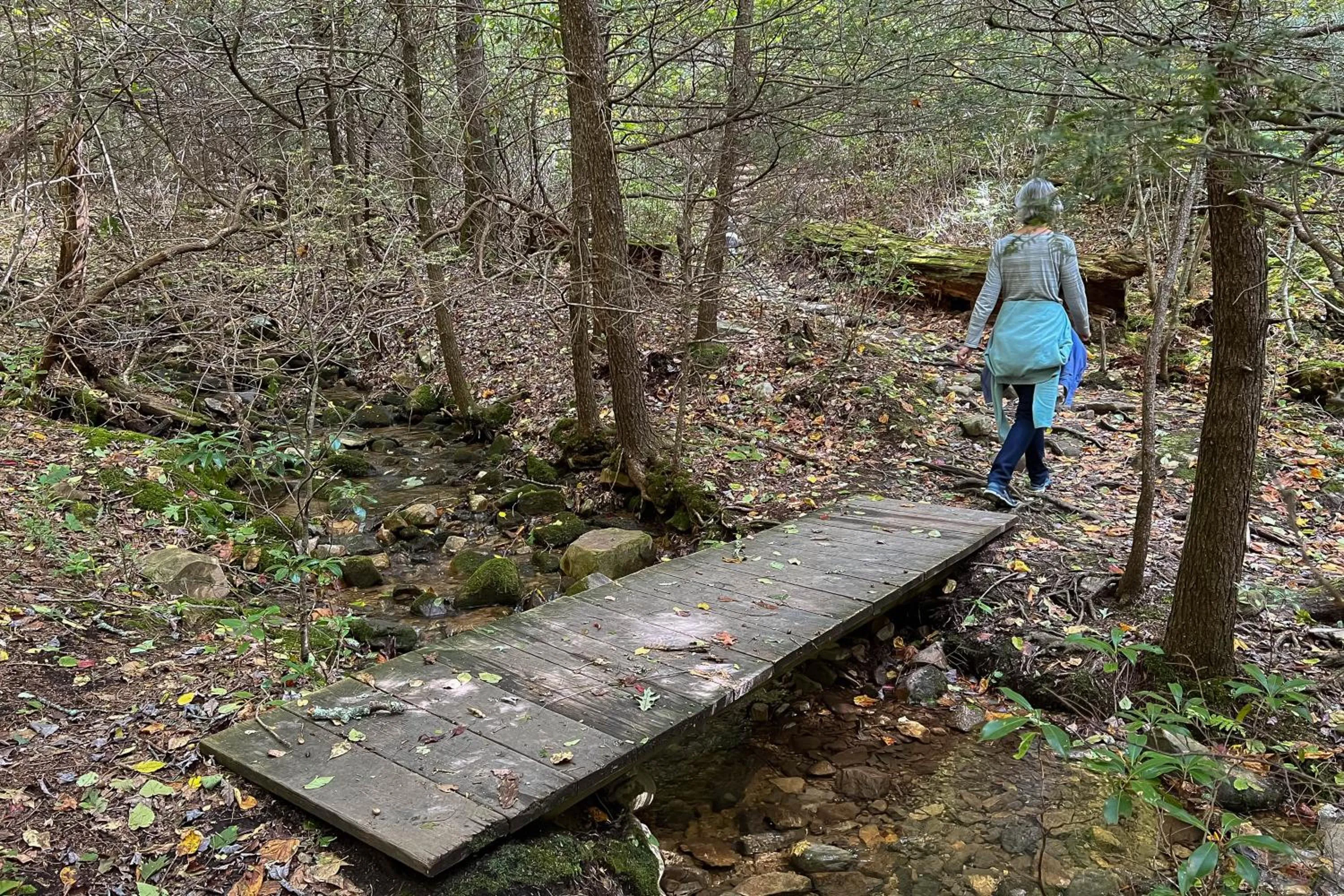 Love Ridge Mountain Lodging