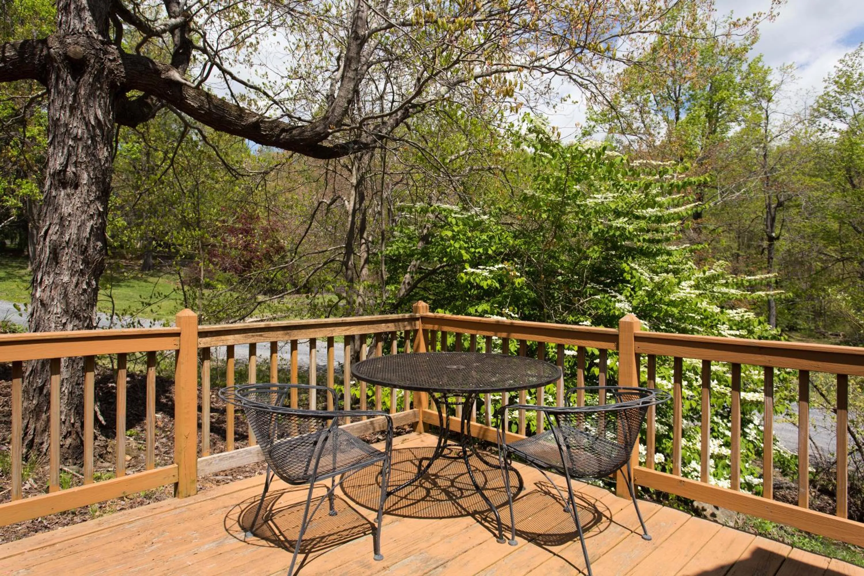 Natural landscape in Love Ridge Mountain Lodging