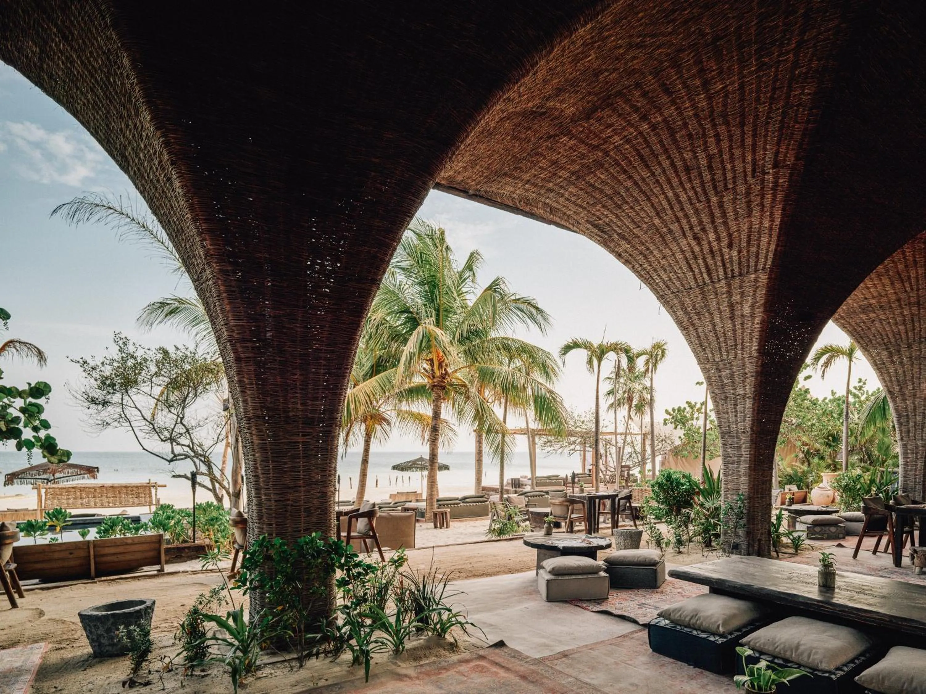 Restaurant/places to eat in Nômade Temple Holbox