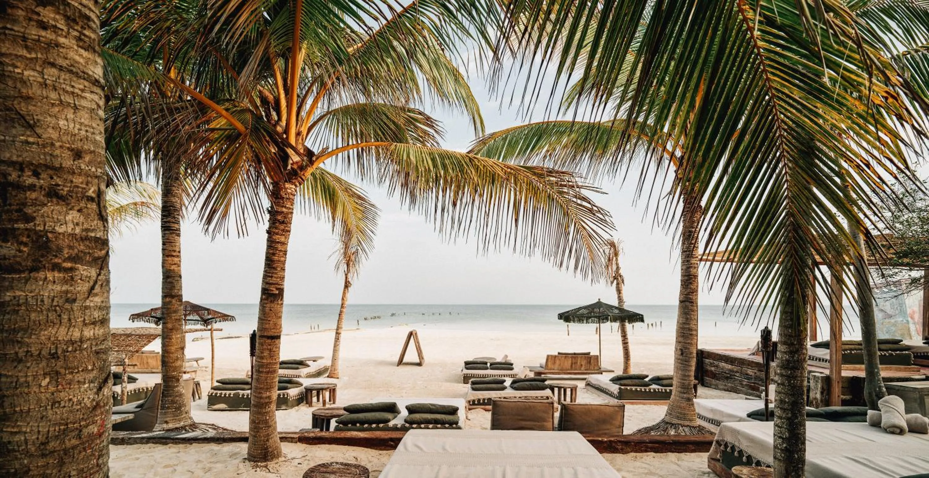 Food and drinks in Nômade Temple Holbox