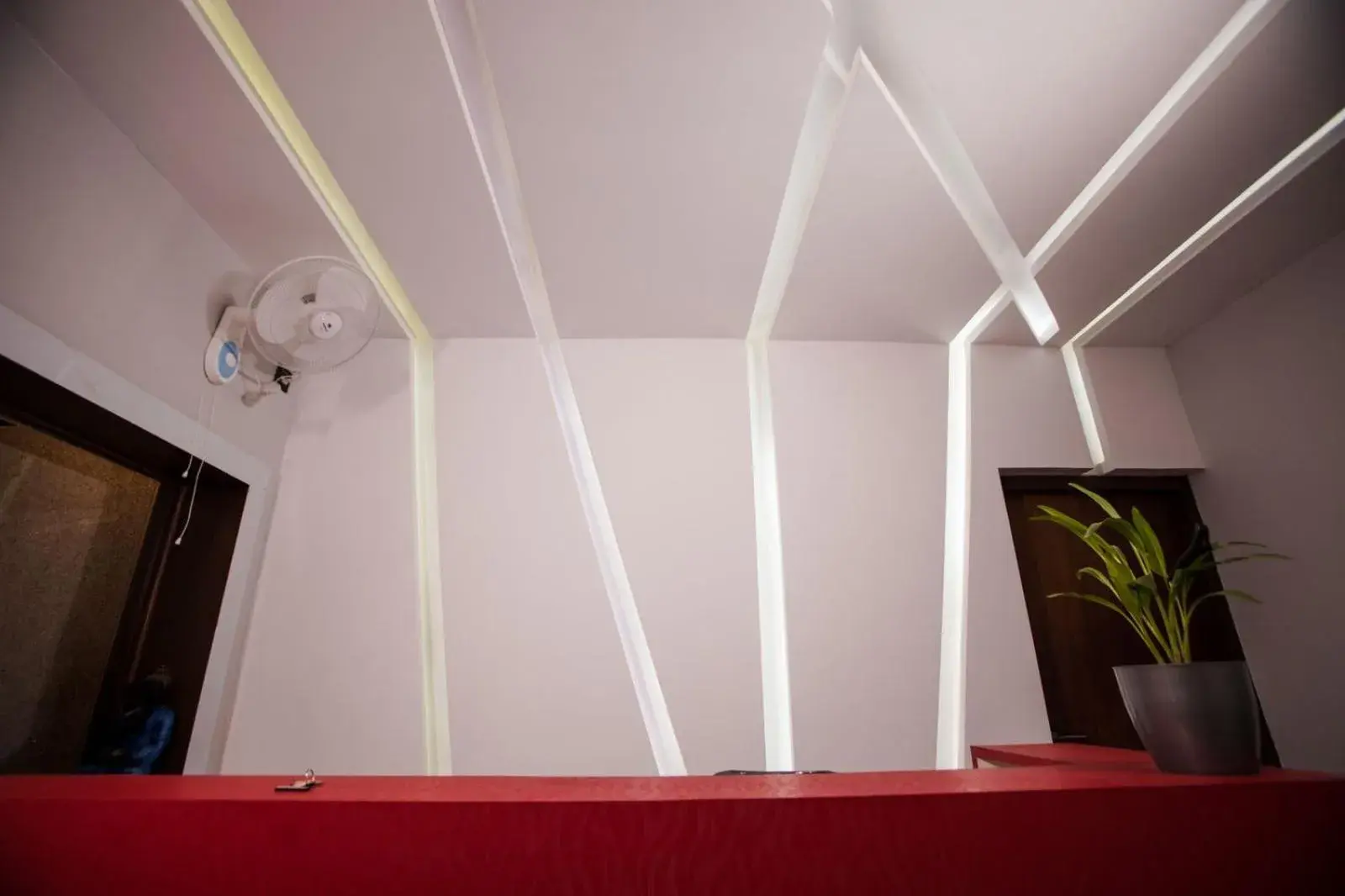 Lobby or reception in MUSHROOMS Lobby or reception in MUSHROOMS