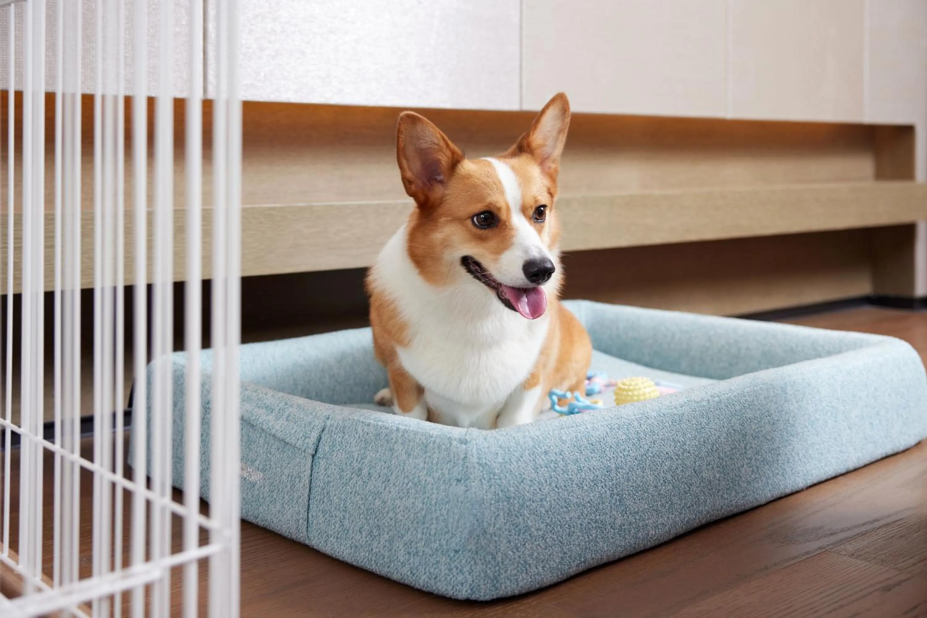 Artyzen Lingang Shanghai