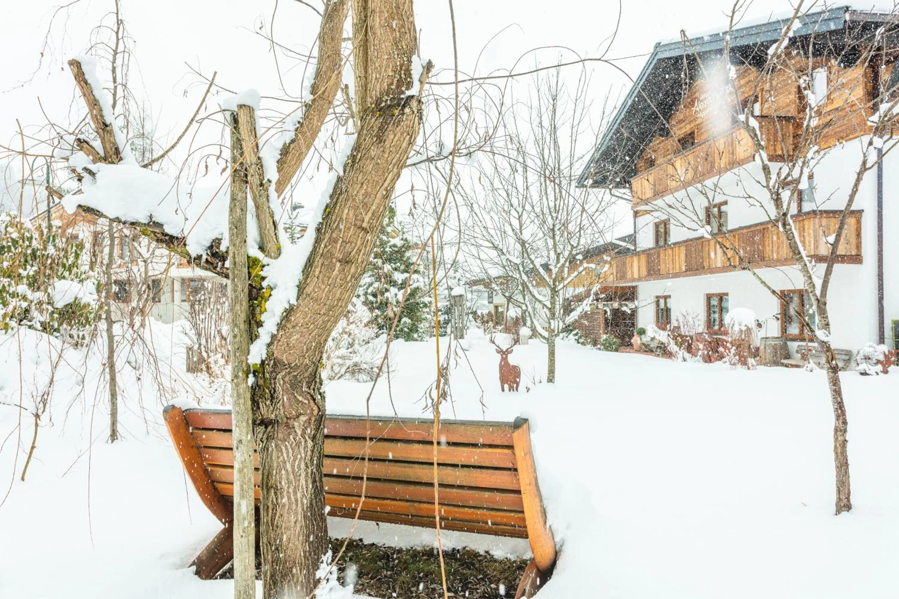 Haus Alexandra