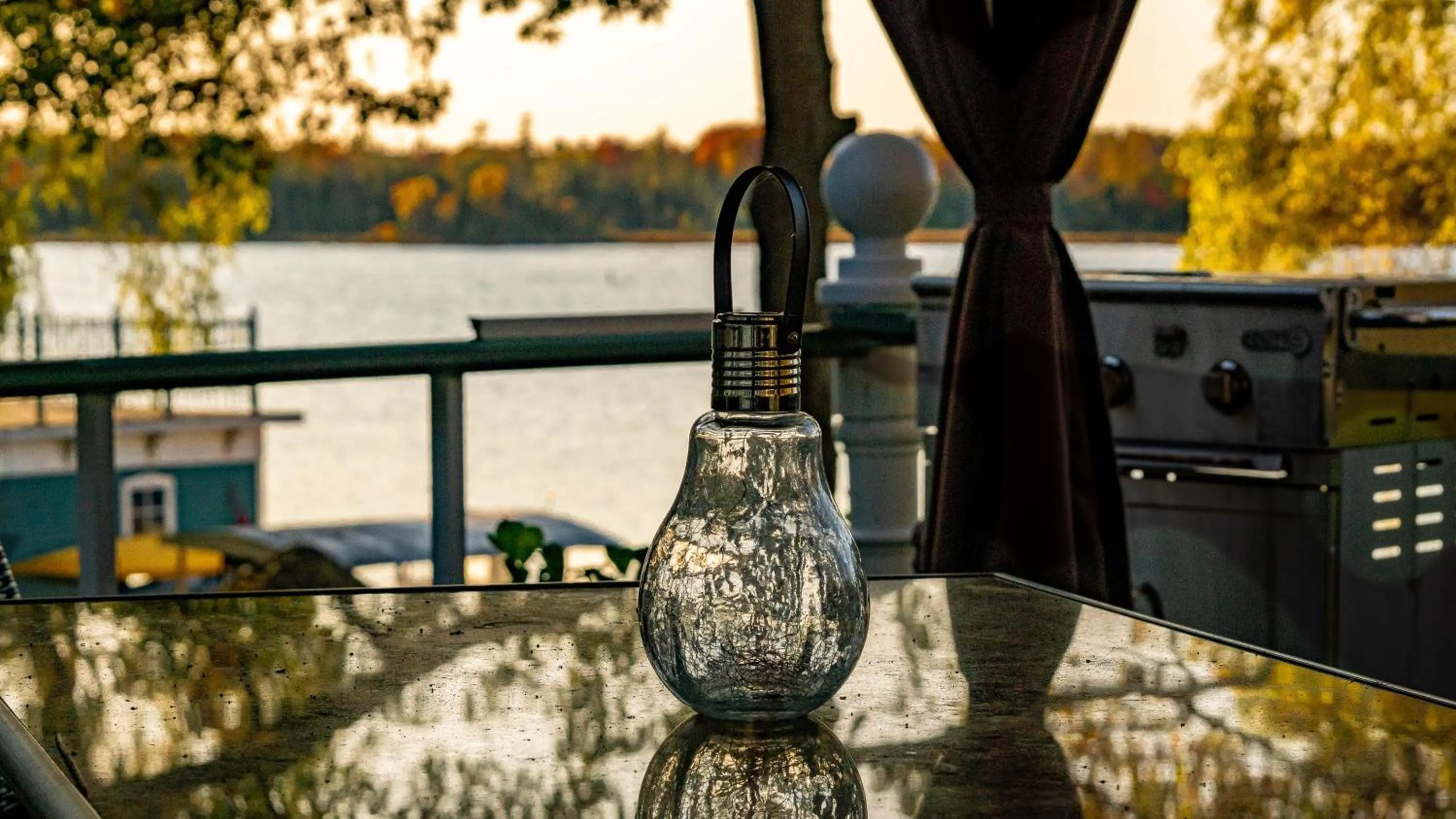 Windswept on the Trent