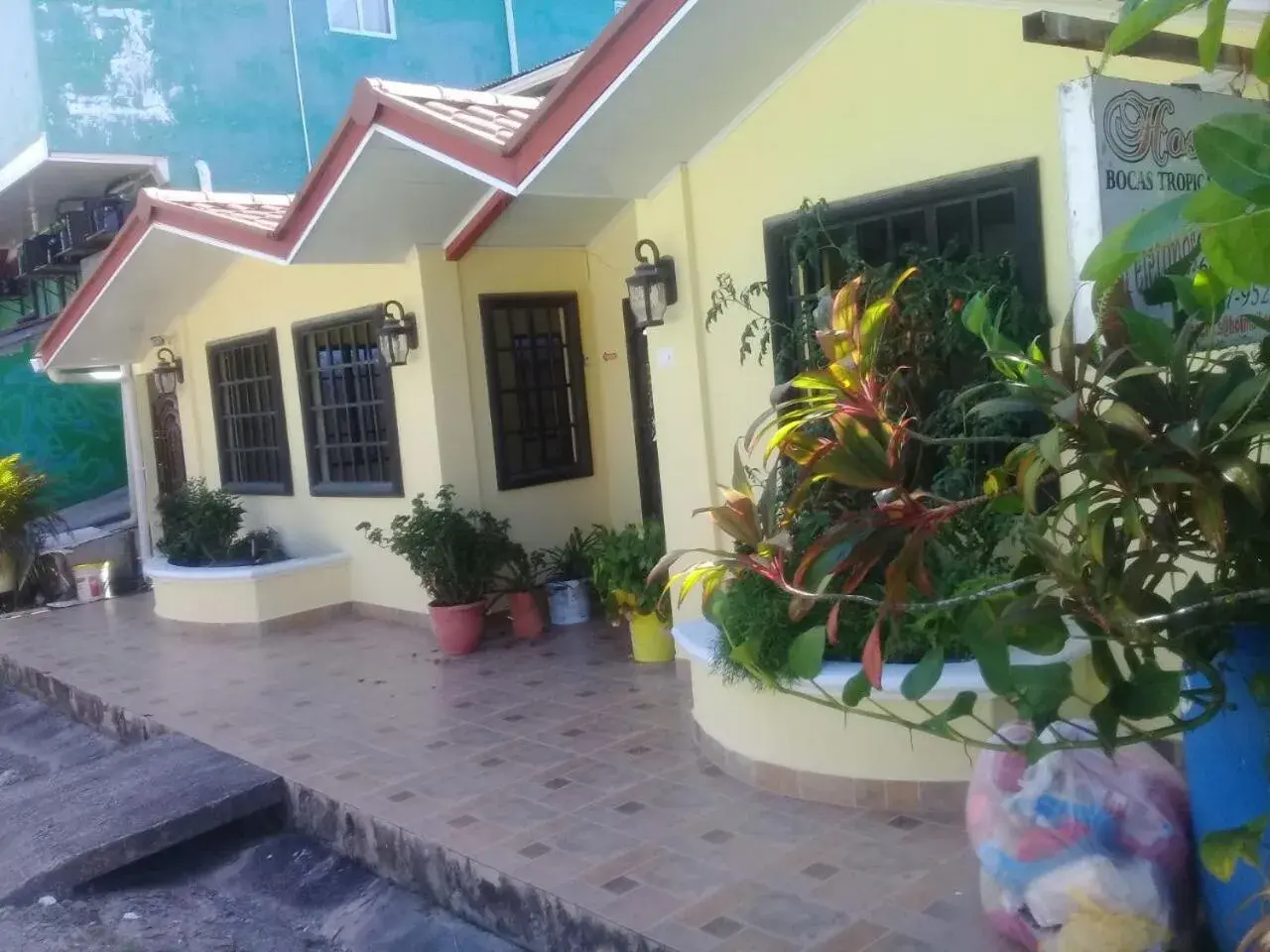 Basic Double Room - single occupancy in Hostal Bocas Tropical Paradise Basic Double Room - single occupancy in Hostal Bocas Tropical Paradise