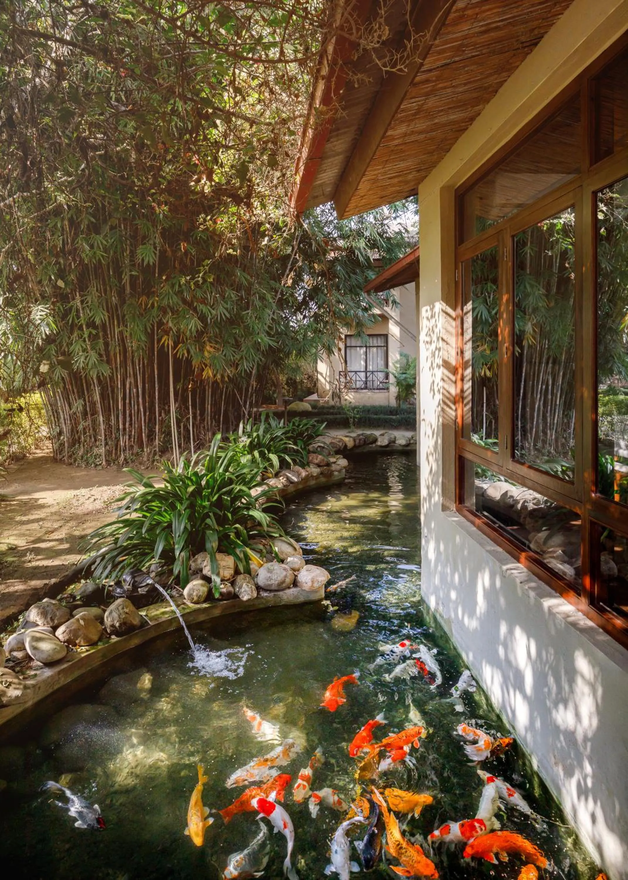 Property building in Green Mansions Jungle Resort