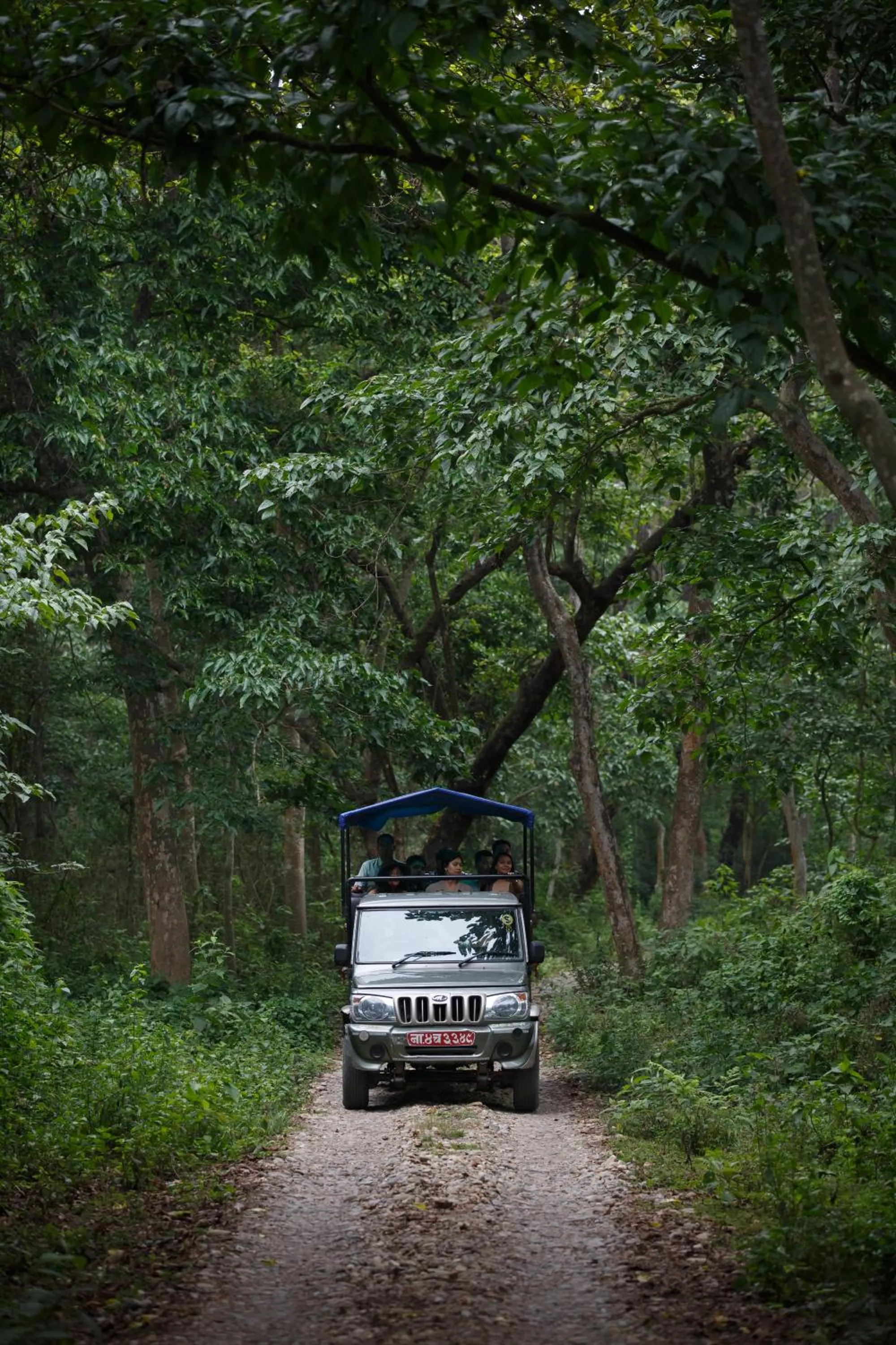 Activities in Green Mansions Jungle Resort