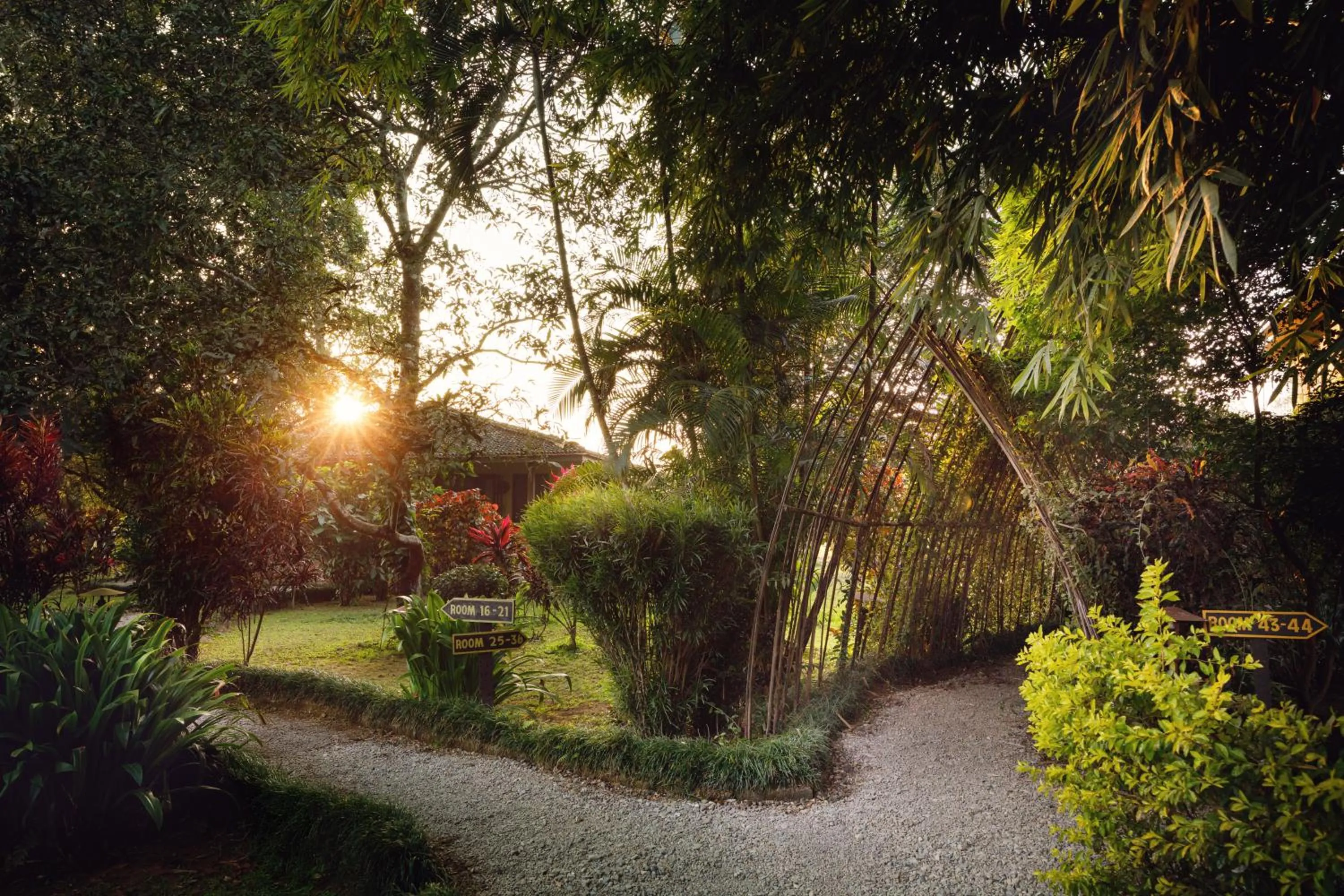 Garden in Green Mansions Jungle Resort