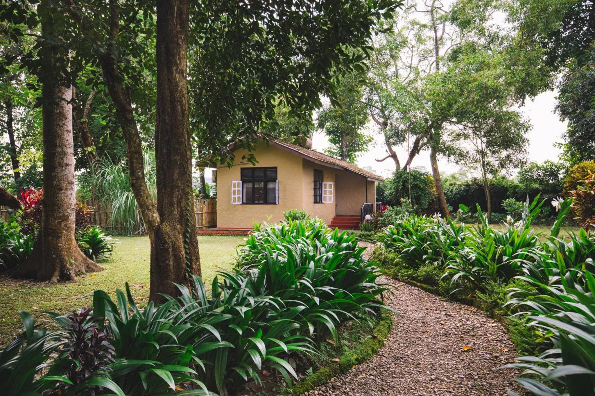 Property building in Green Mansions Jungle Resort Property building in Green Mansions Jungle Resort