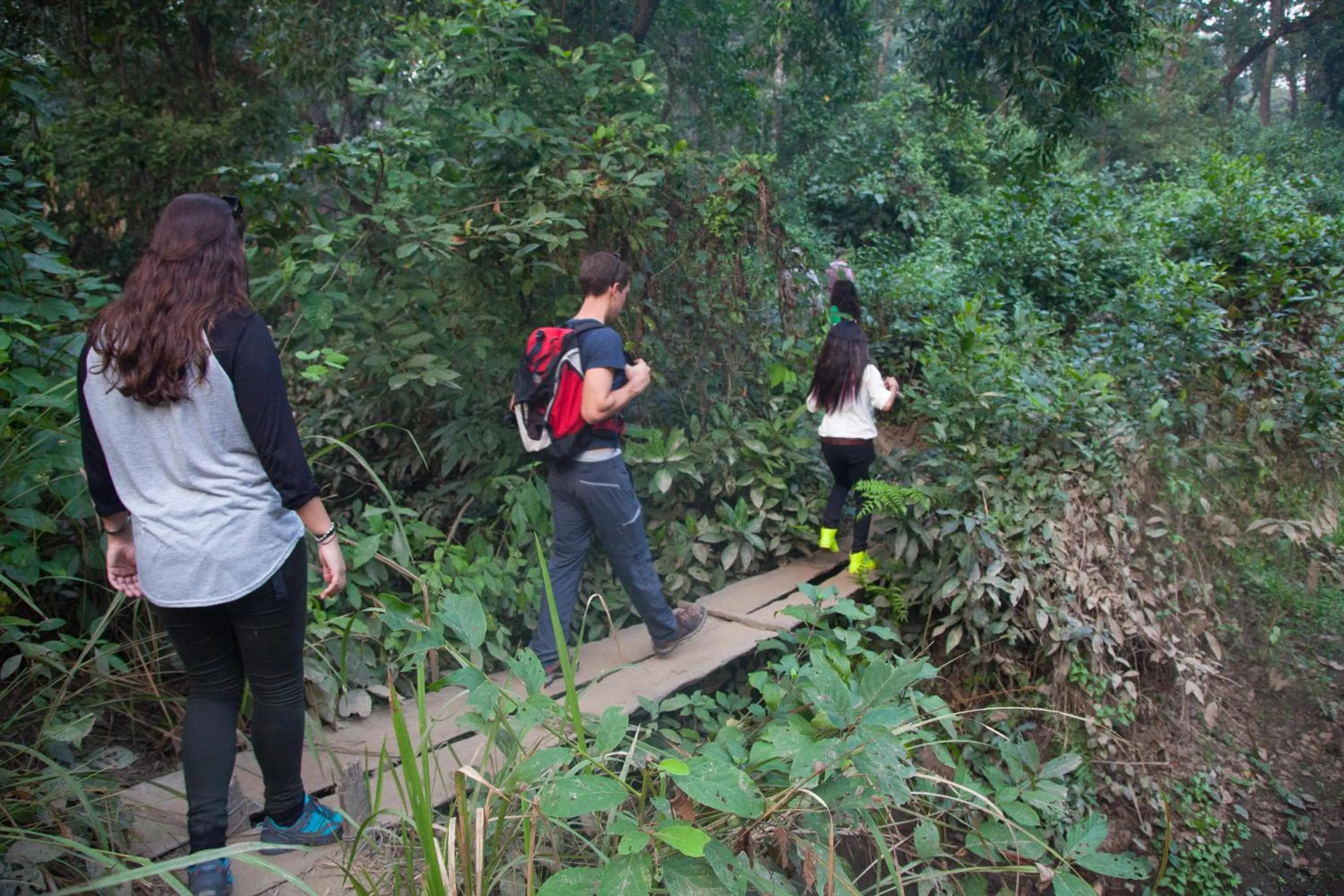 Nearby landmark in Green Mansions Jungle Resort