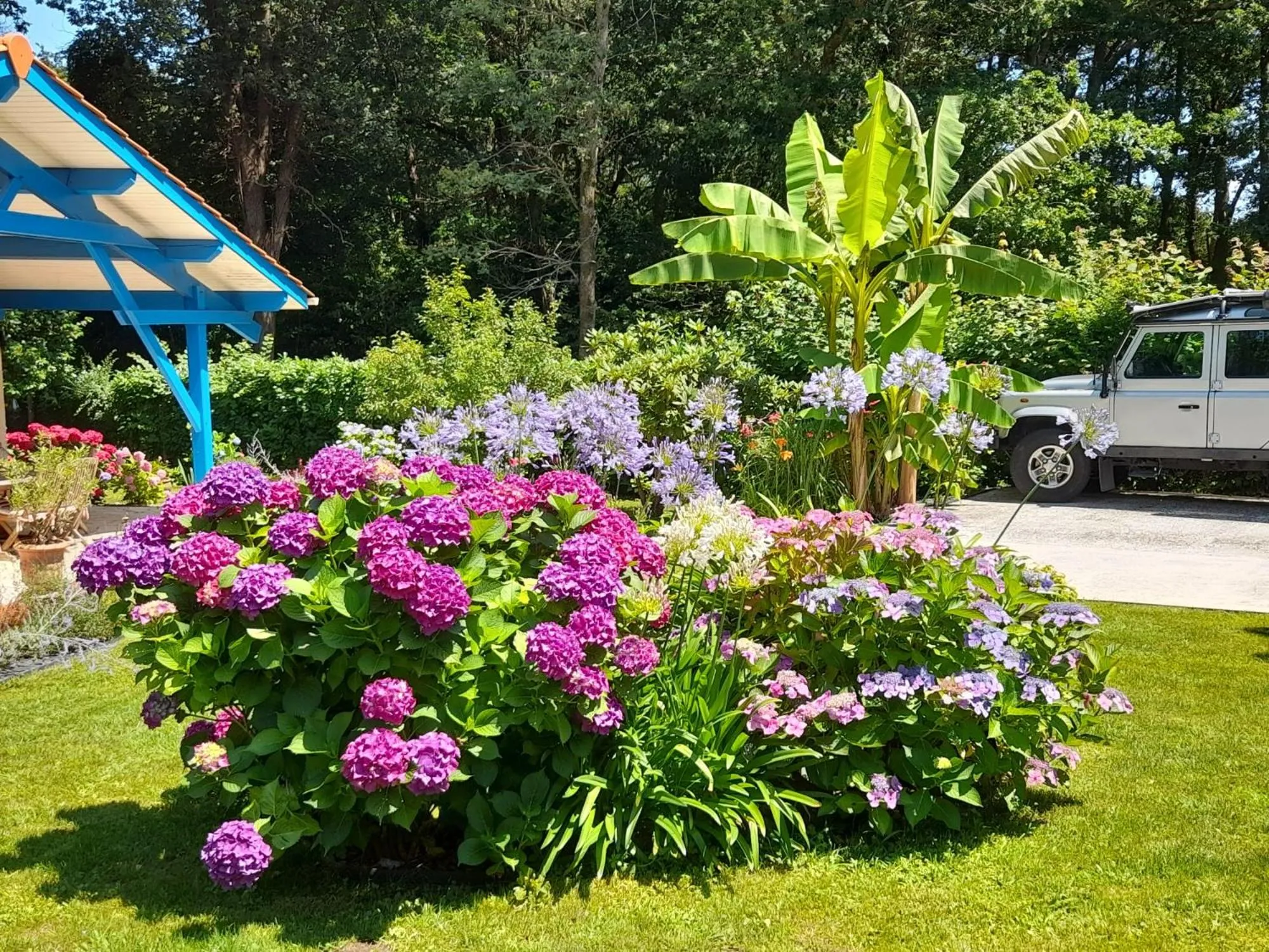 Garden view in La Clairière du Seignanx