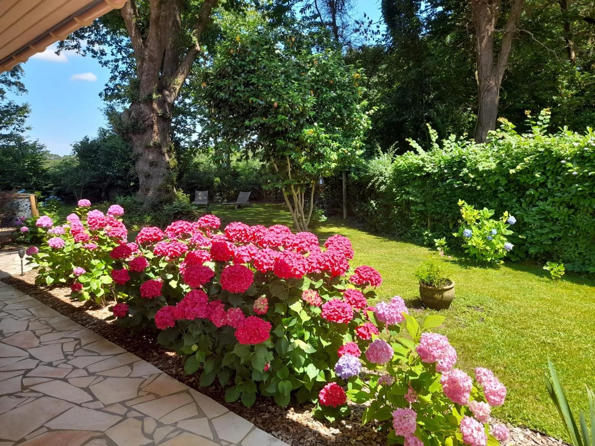 Garden view in La Clairière du Seignanx