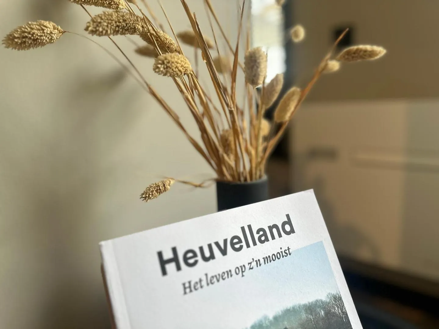 Boutique Hotel Le Faucon