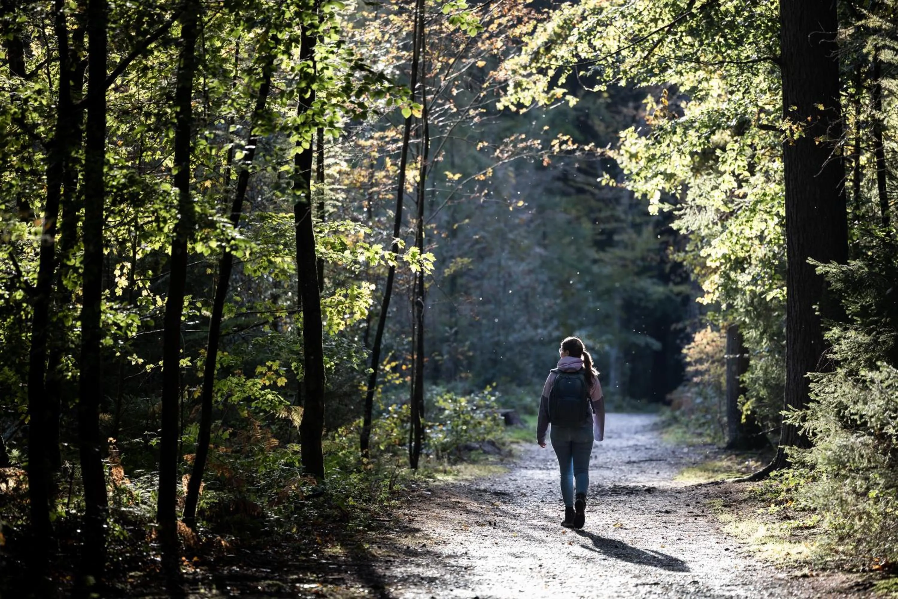 Boutique Hotel Le Faucon