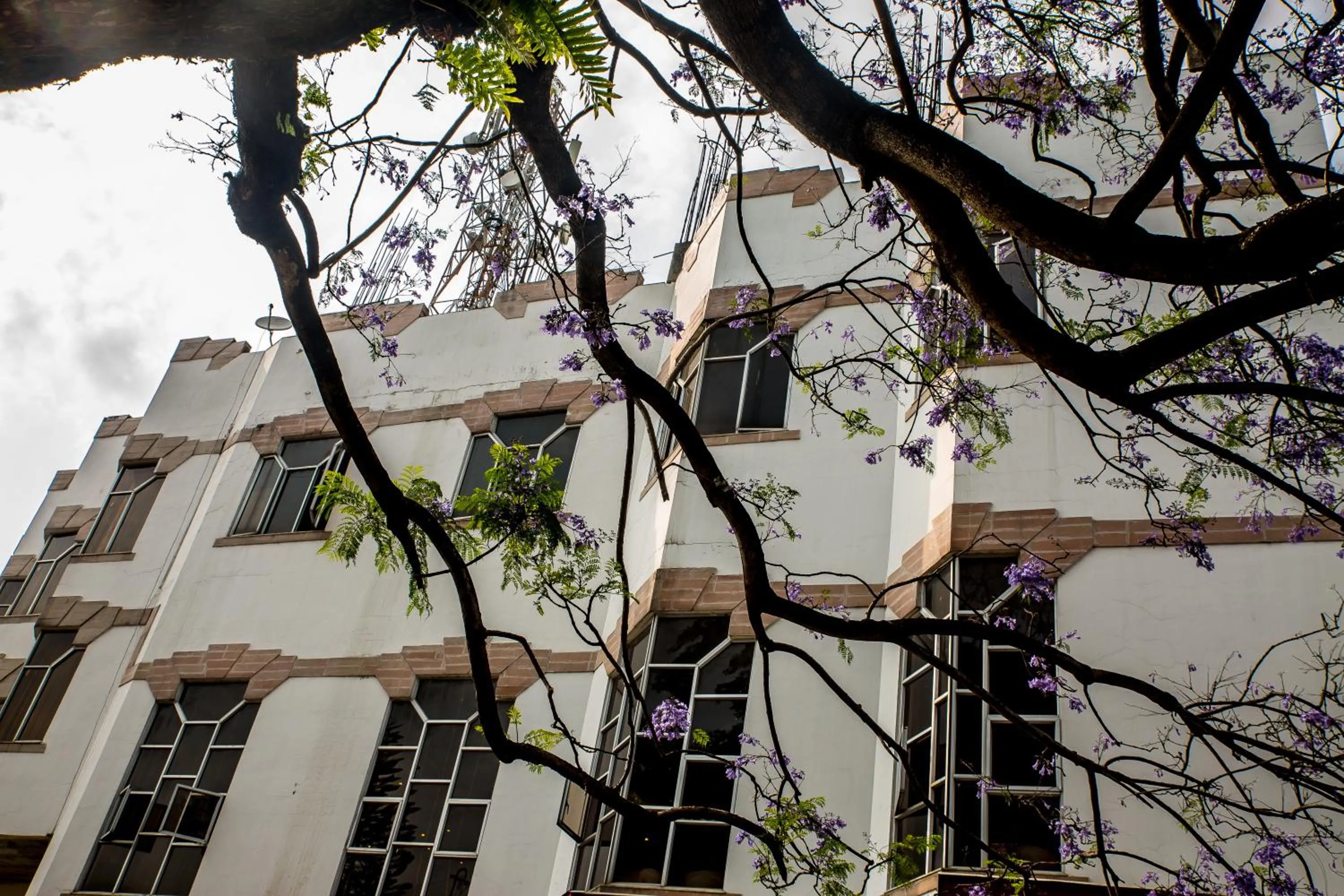 Property building in Hotel Pegasus Crown