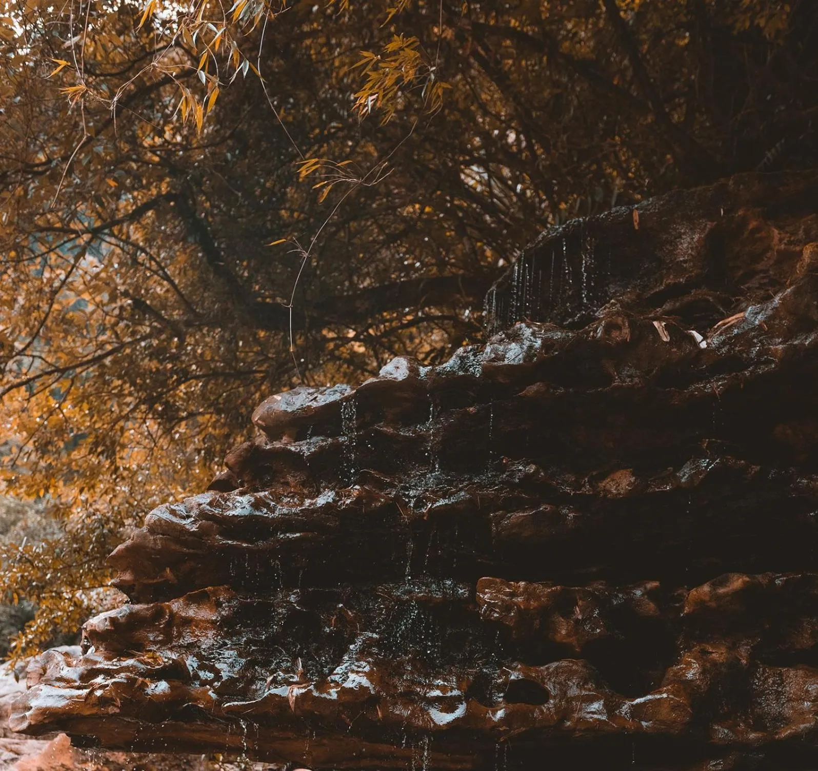 Natural landscape in Polo Cherrapunjee Resort