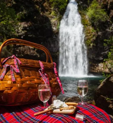 Spring in Polo Cherrapunjee Resort