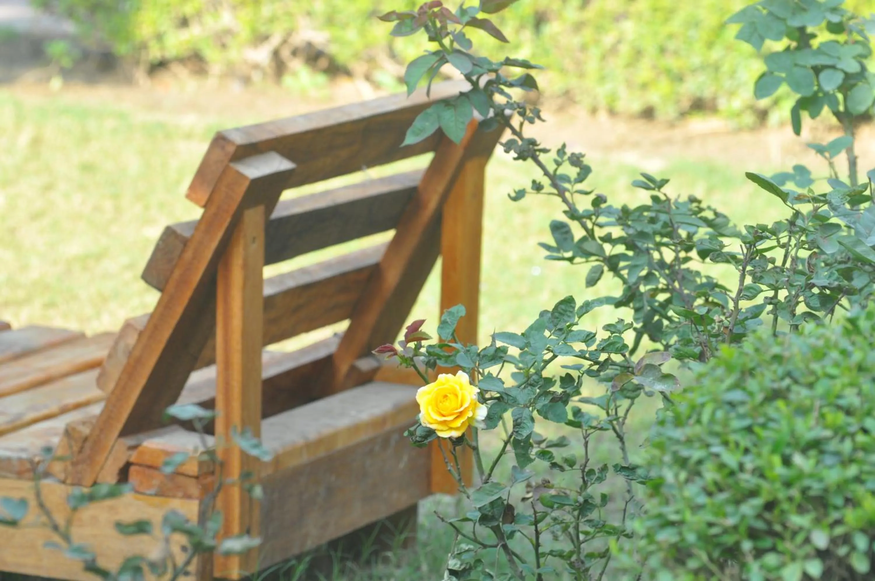 Hotel Goverdhan Tourist Complex