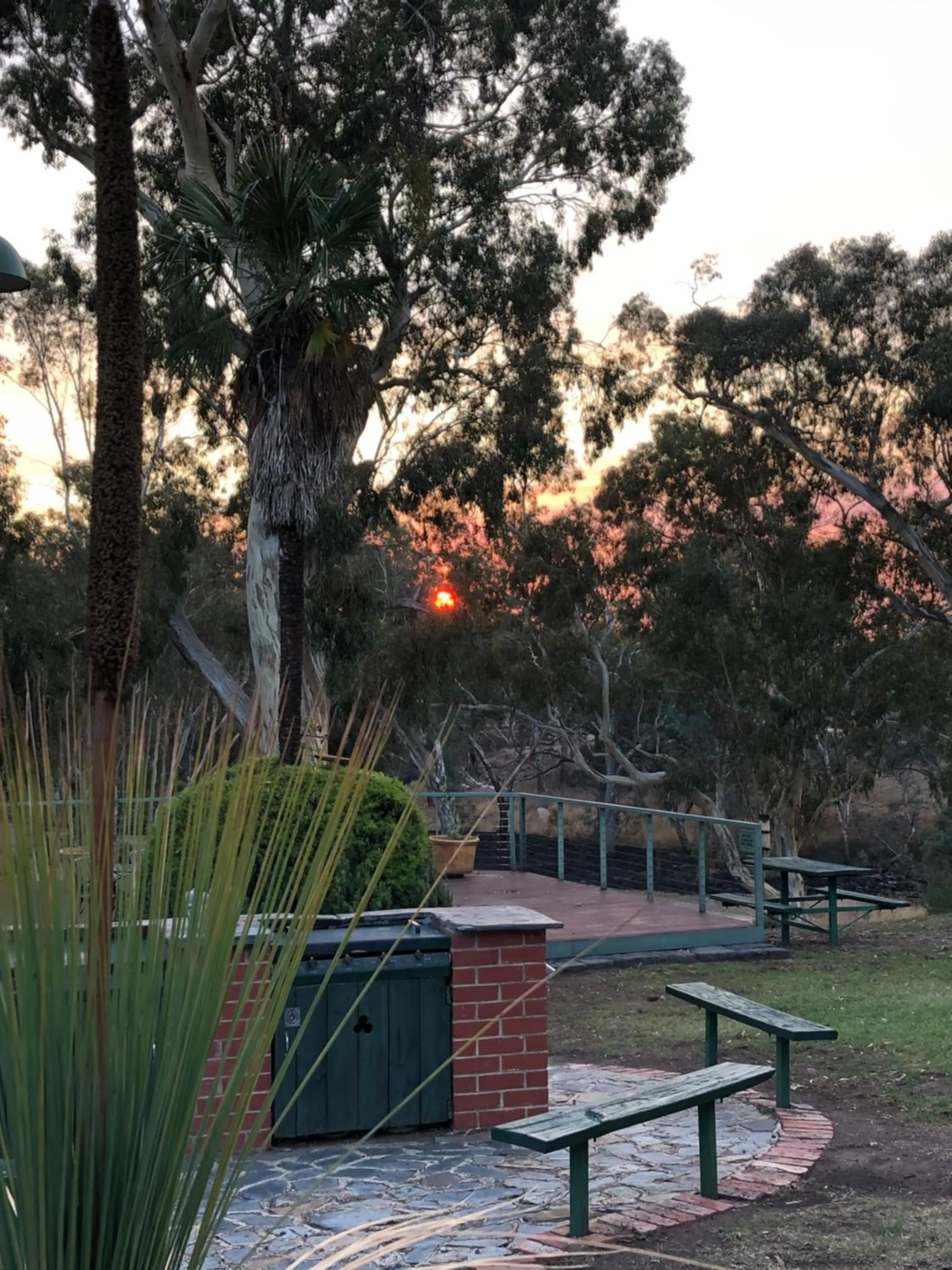 Natural landscape in Avoca Cottages VICTORIA