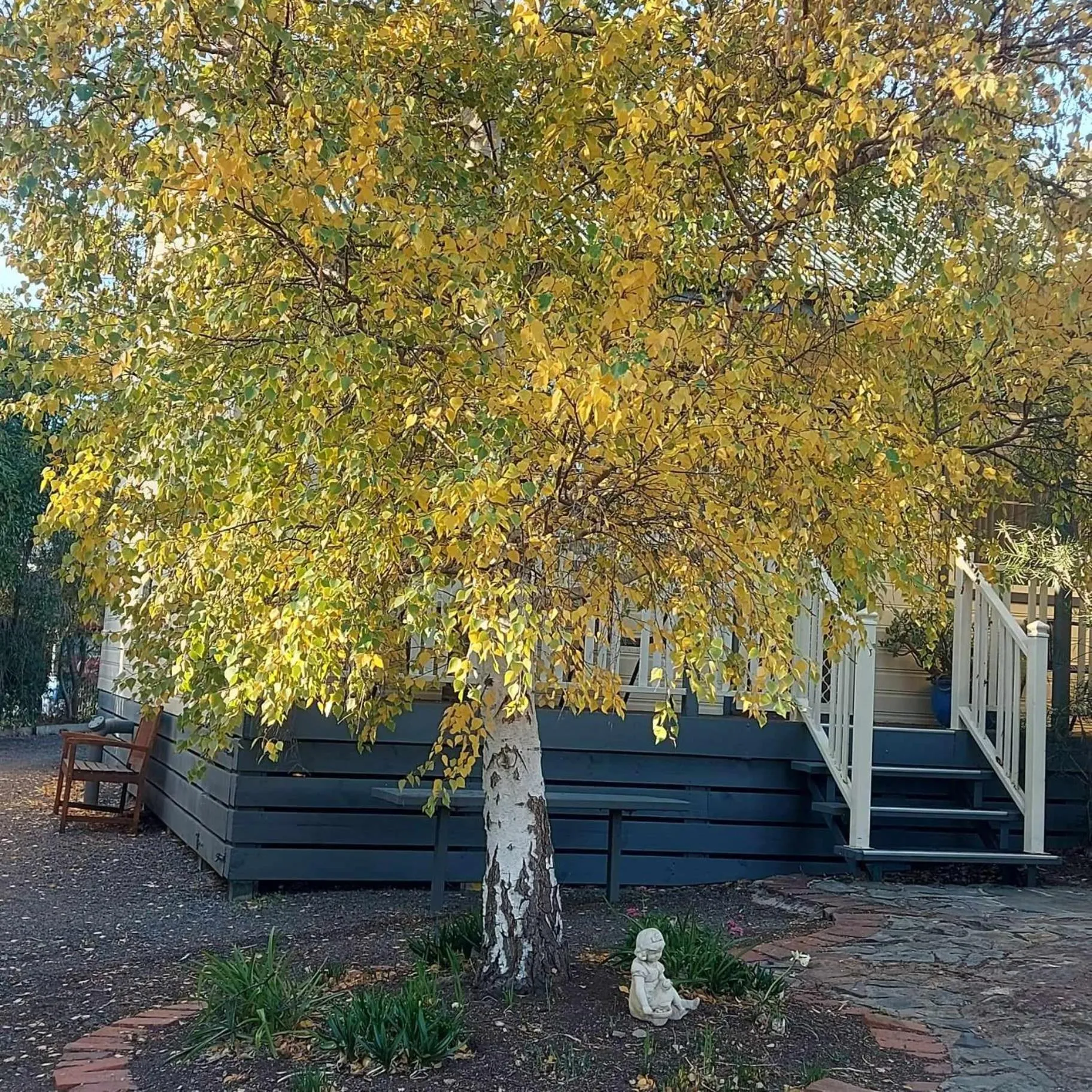 Spring in Avoca Cottages VICTORIA