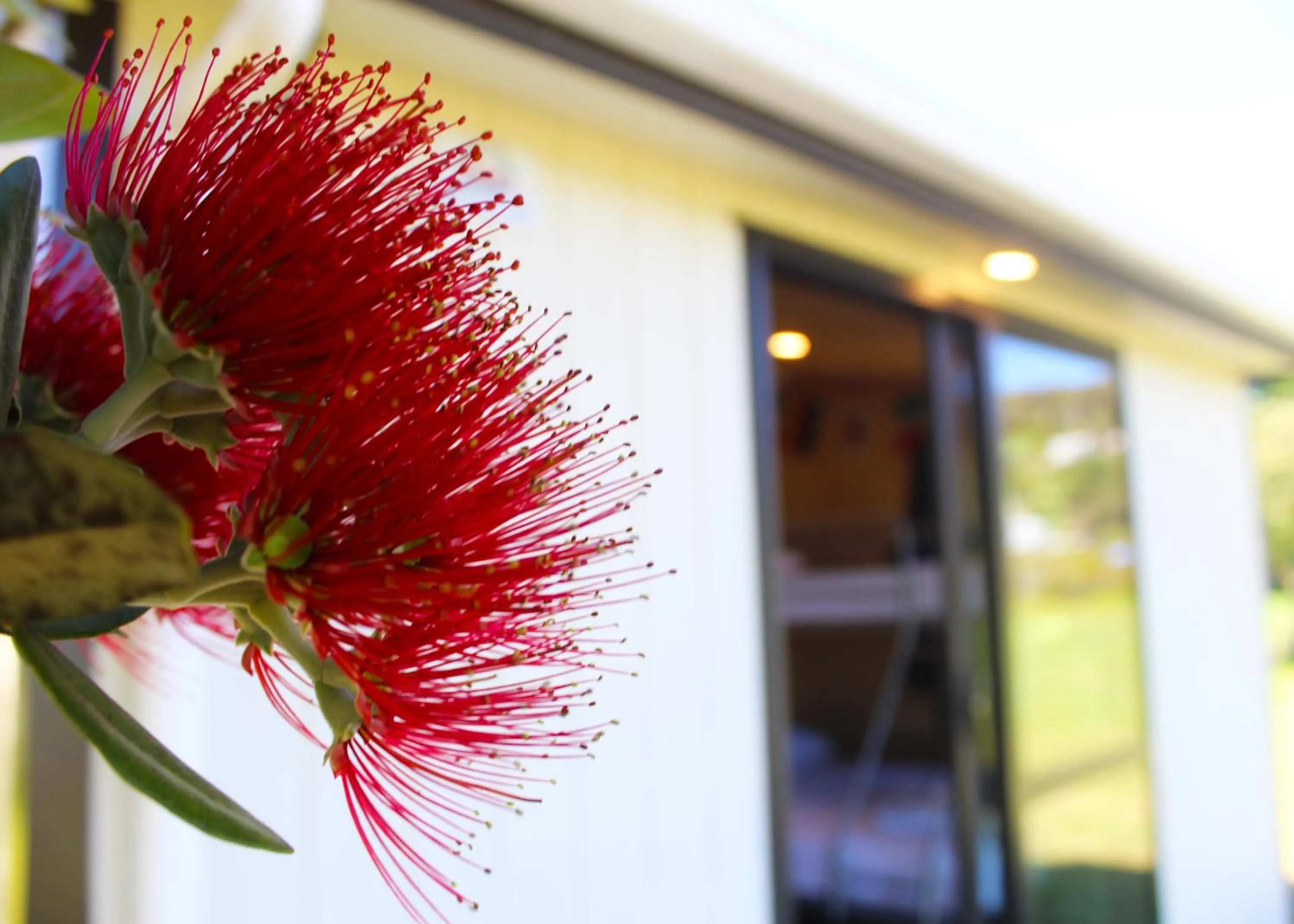 Waitangi Holiday Park
