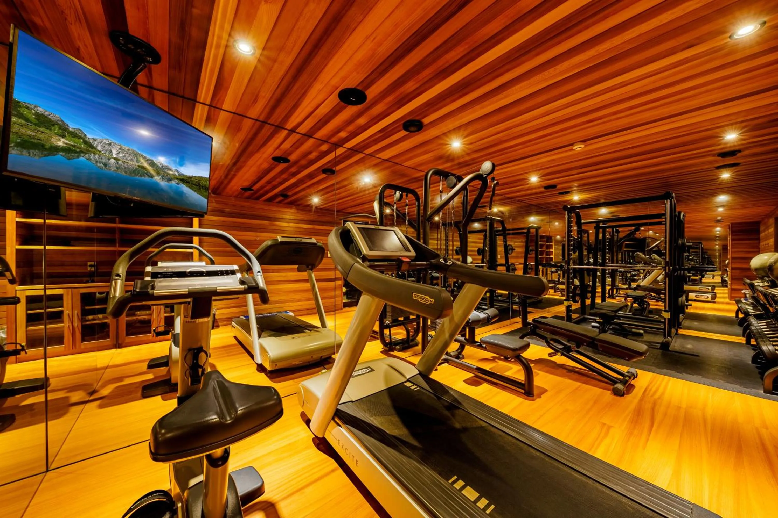 Fitness centre/facilities in Phoenix Chalets by HHG
