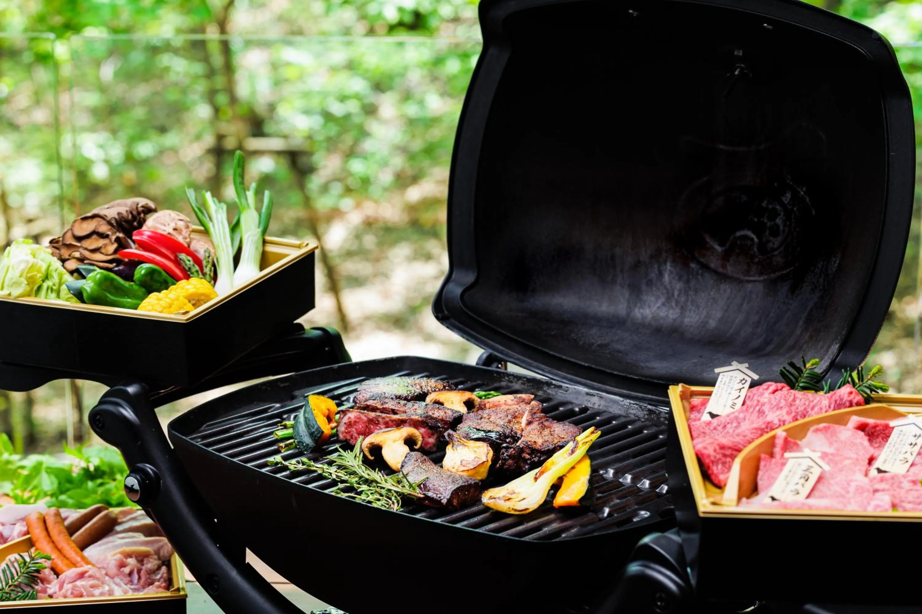 BBQ facilities in Phoenix Chalets by HHG