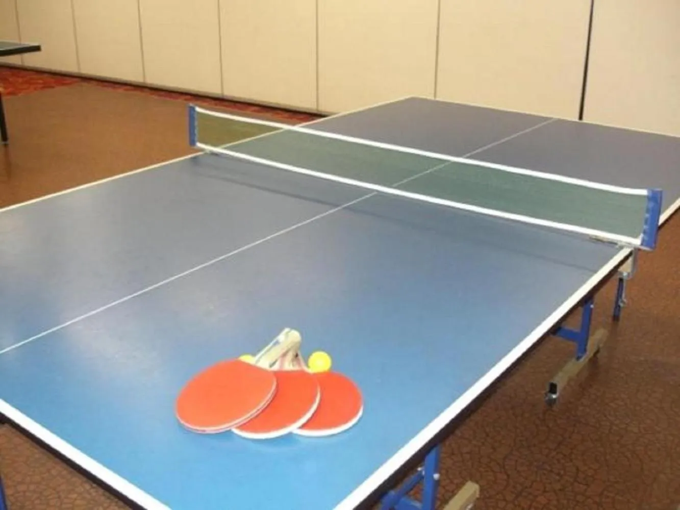 Table tennis in Lakeland Hotel Mizunosato