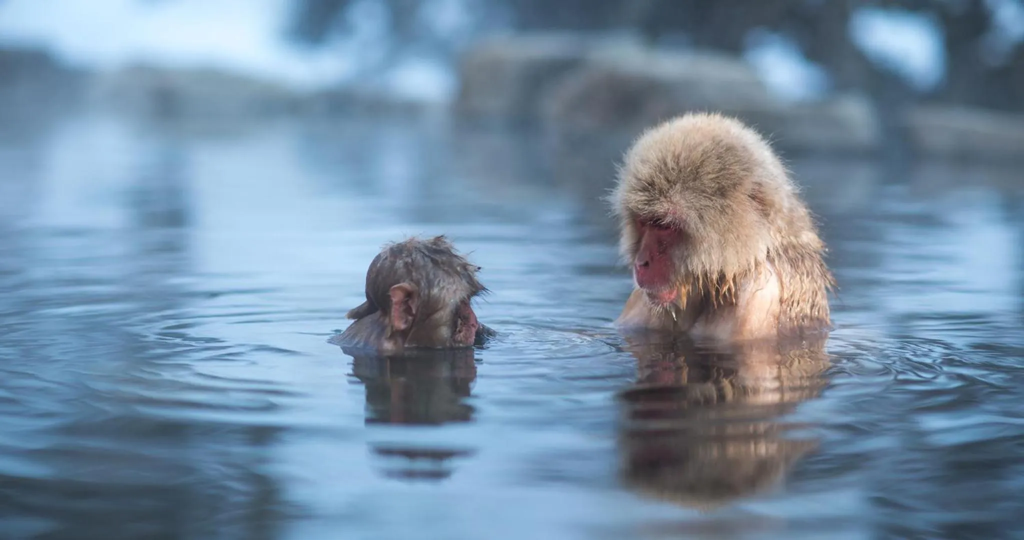 Nearby landmark in Kotobuki