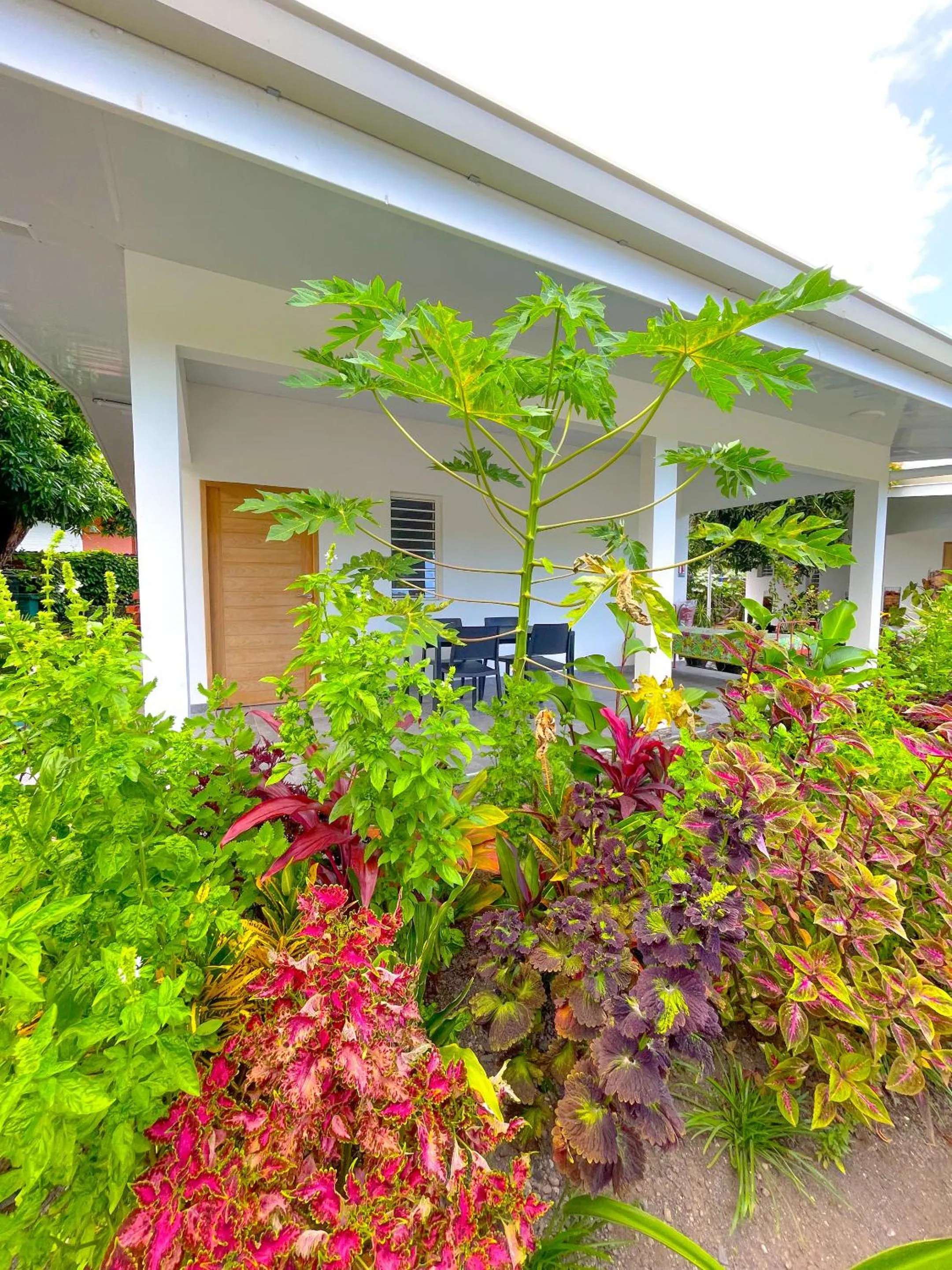 Property building in Pare LODGE TAHITI