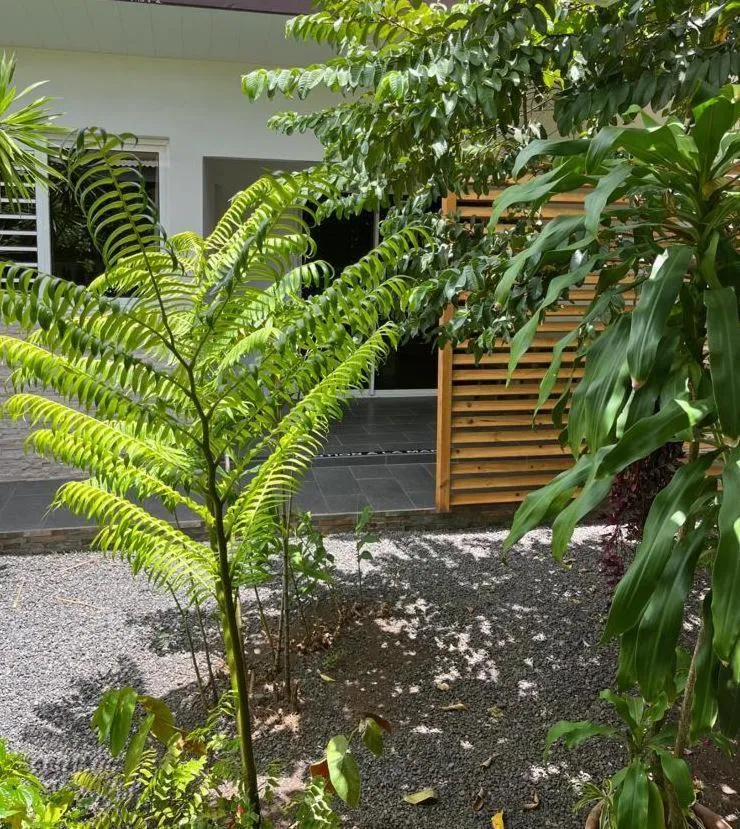 Garden in Pare LODGE TAHITI