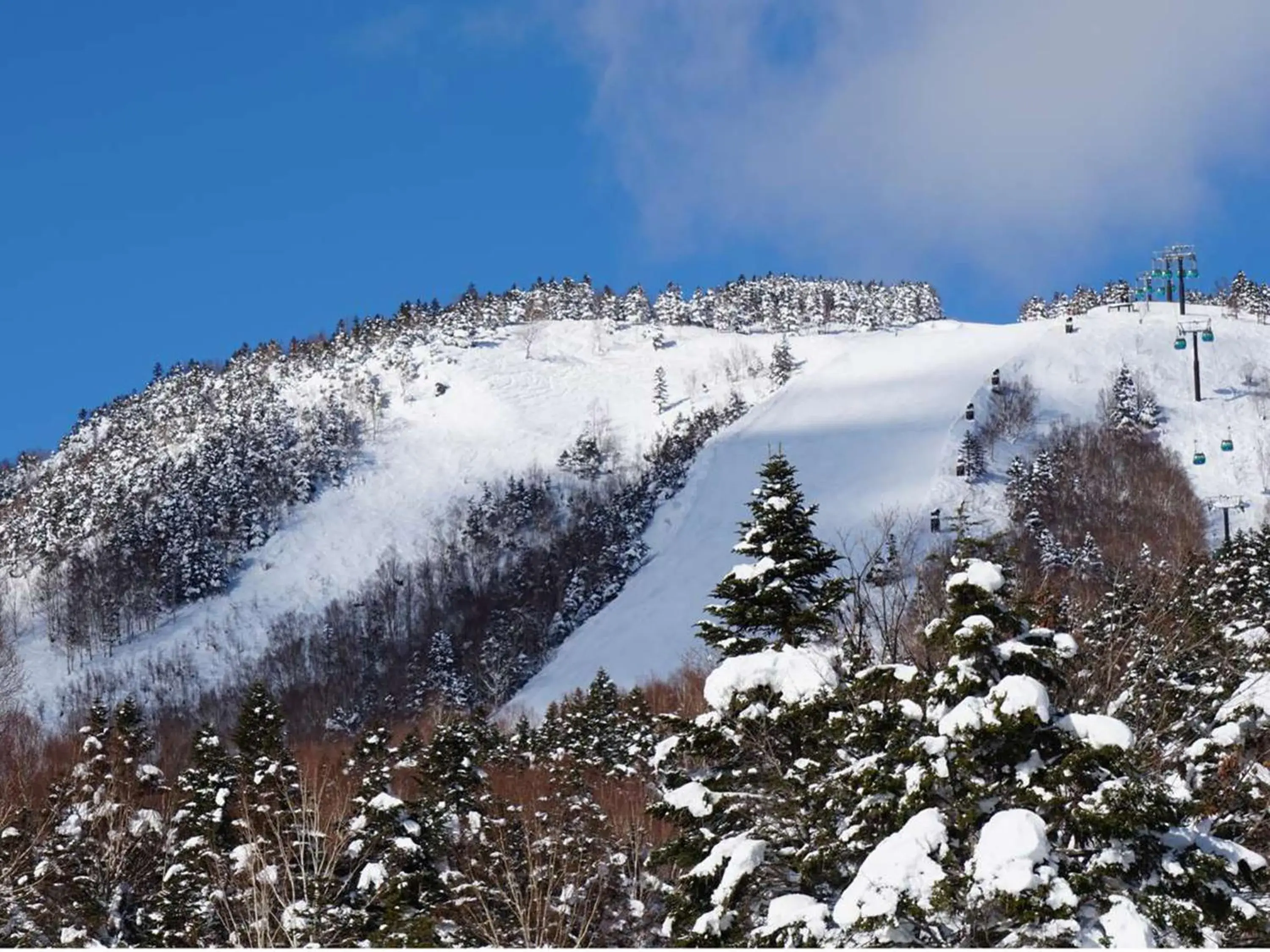 Skiing, Winter in Shigakogen Prince Hotel