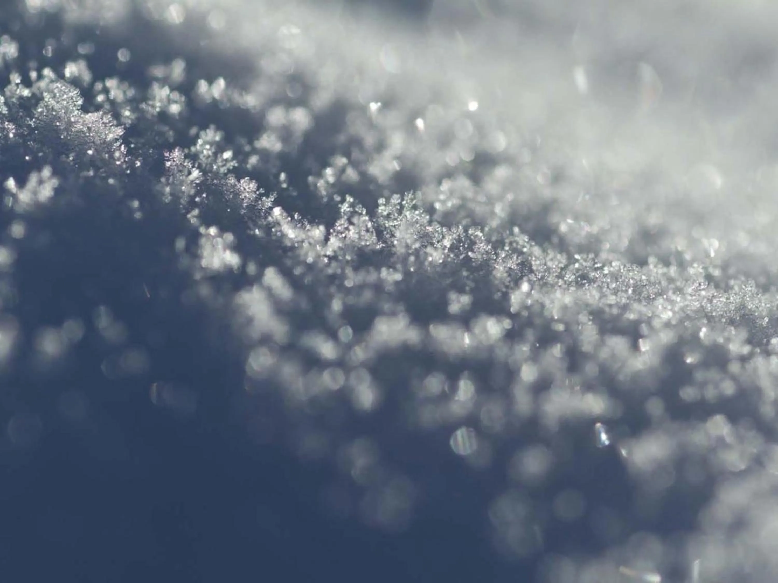 Winter in Shigakogen Prince Hotel