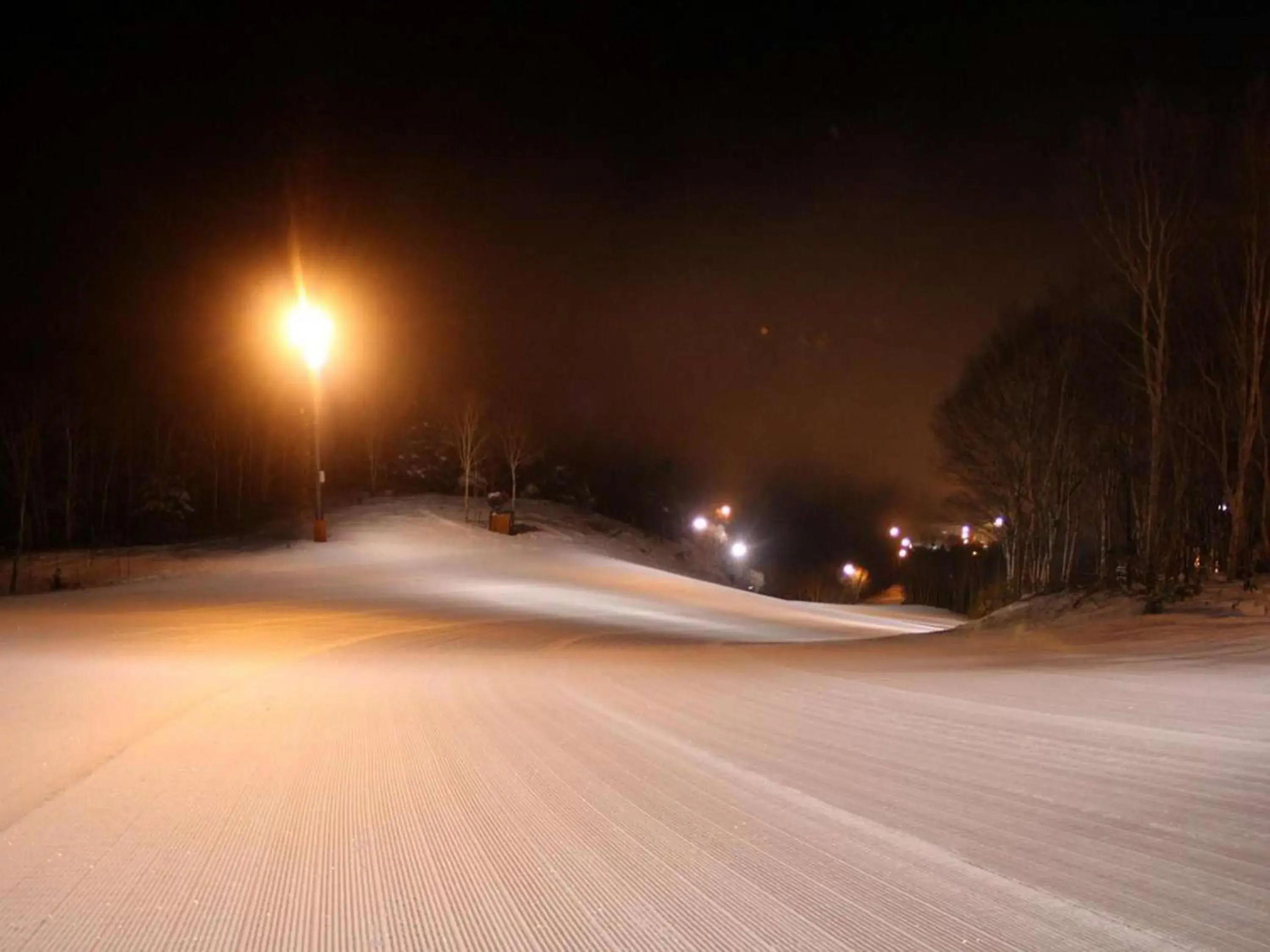 Skiing, Winter in Shigakogen Prince Hotel