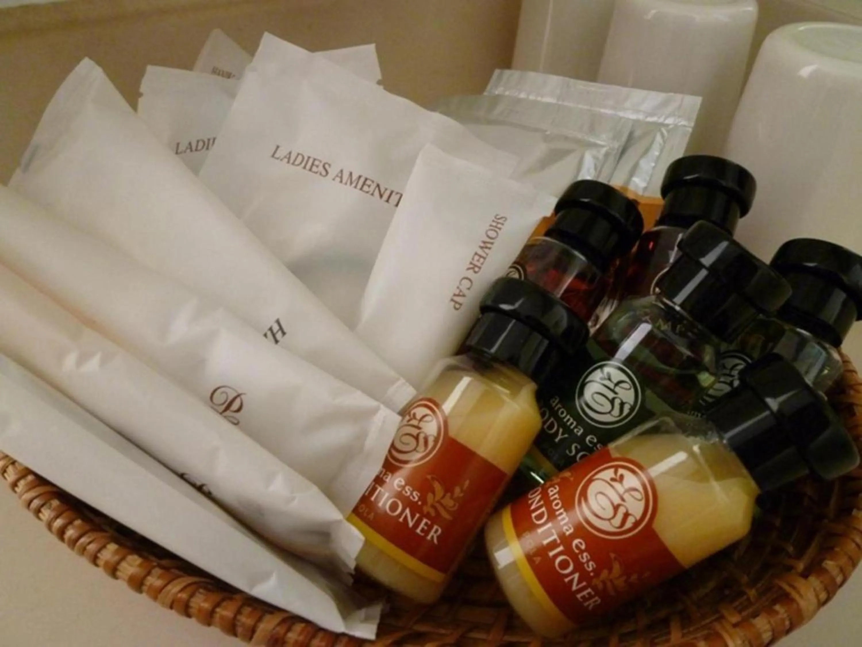 Activities in Shigakogen Prince Hotel