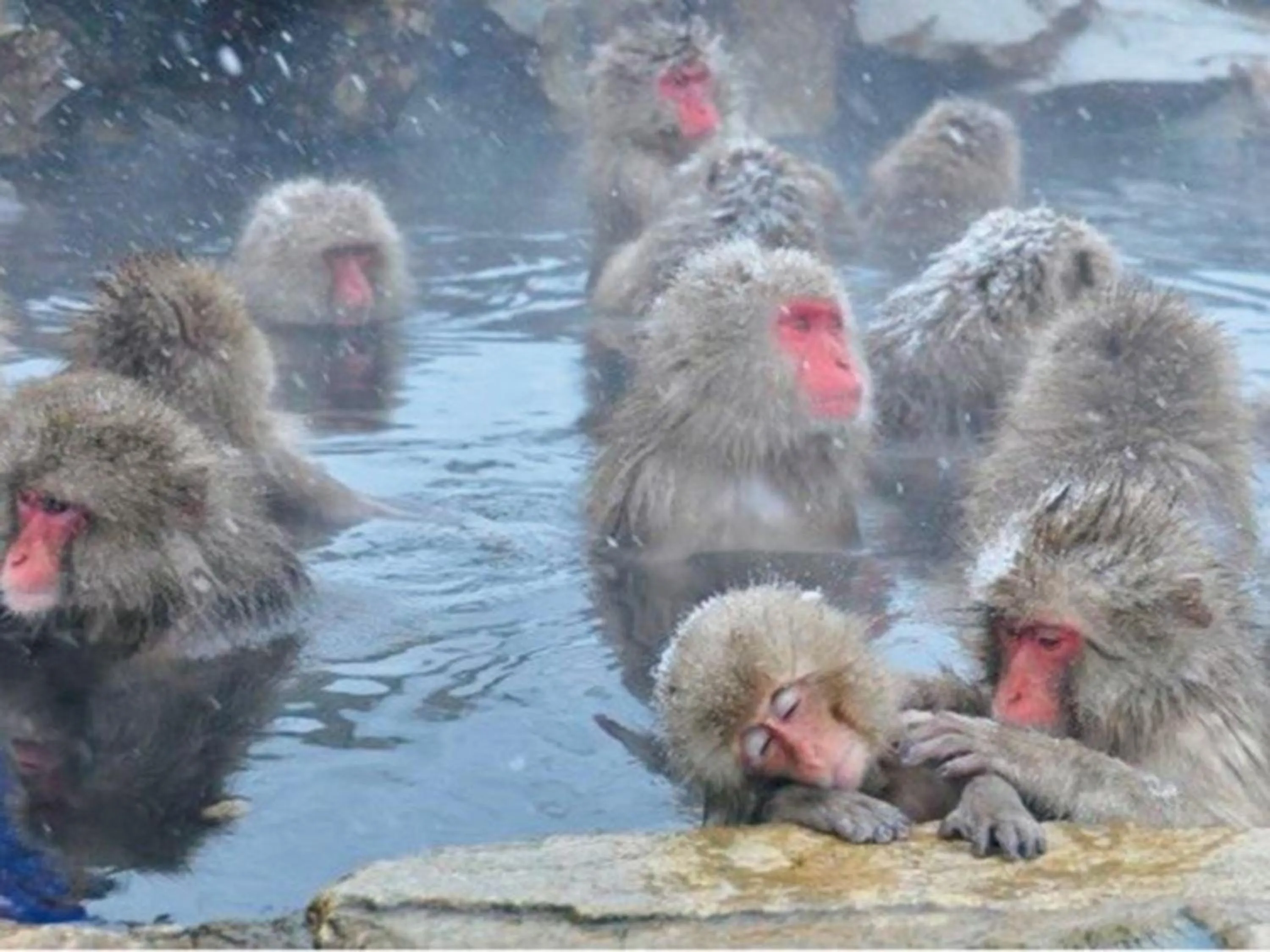 Nearby landmark in Shigakogen Prince Hotel