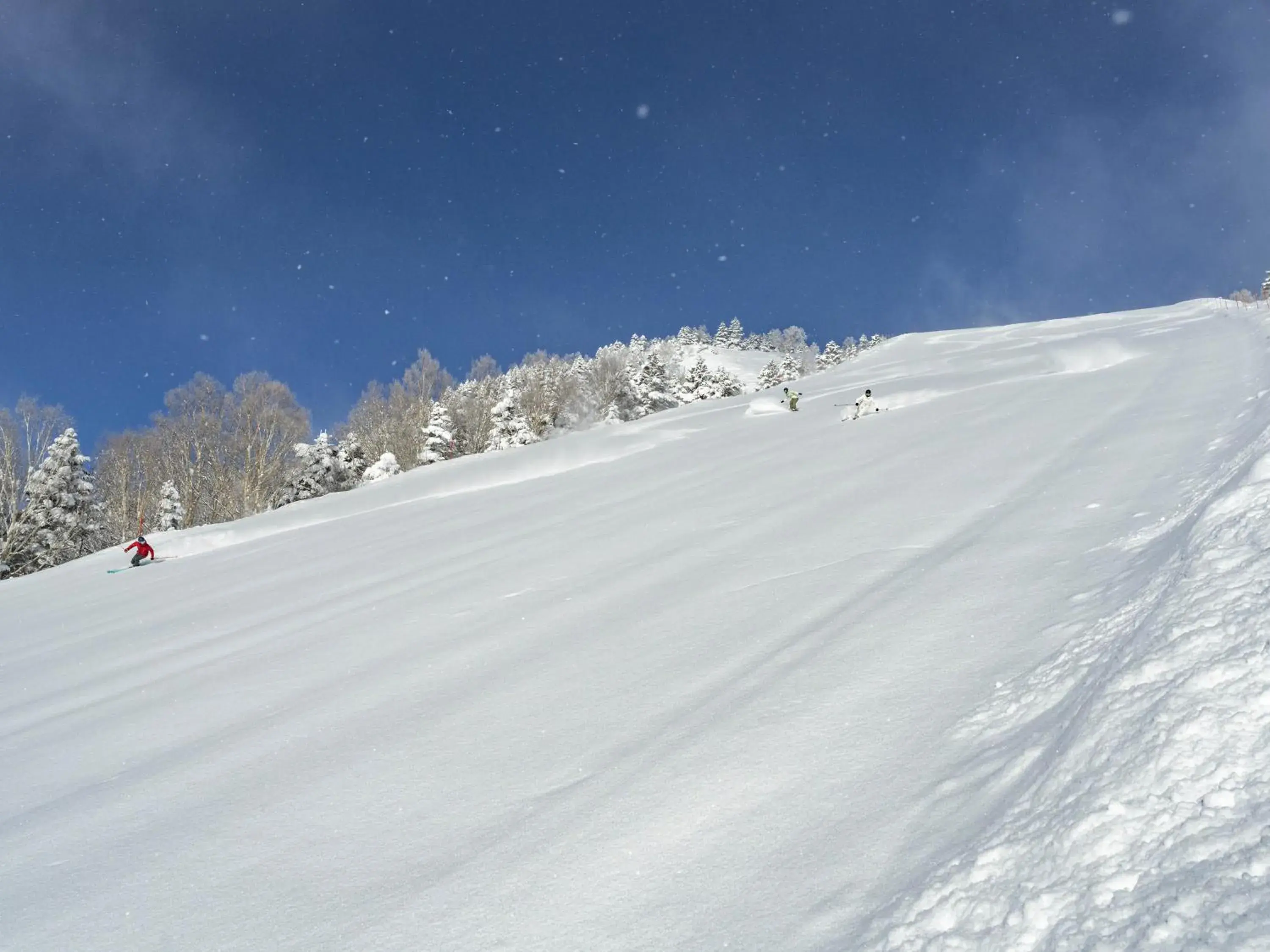 Skiing, Winter in Shigakogen Prince Hotel