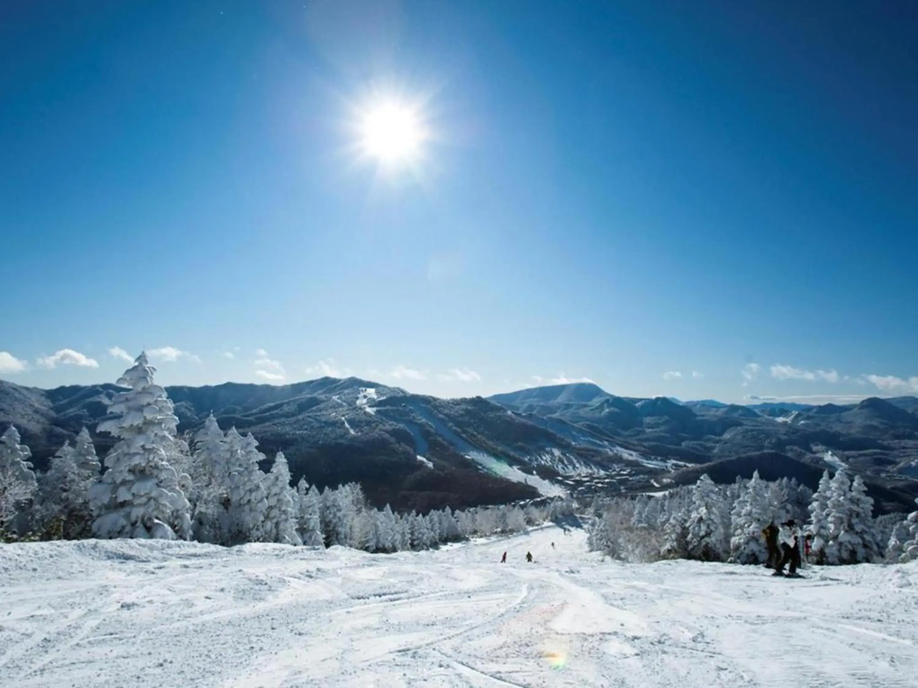 Natural landscape, Winter in Shigakogen Prince Hotel