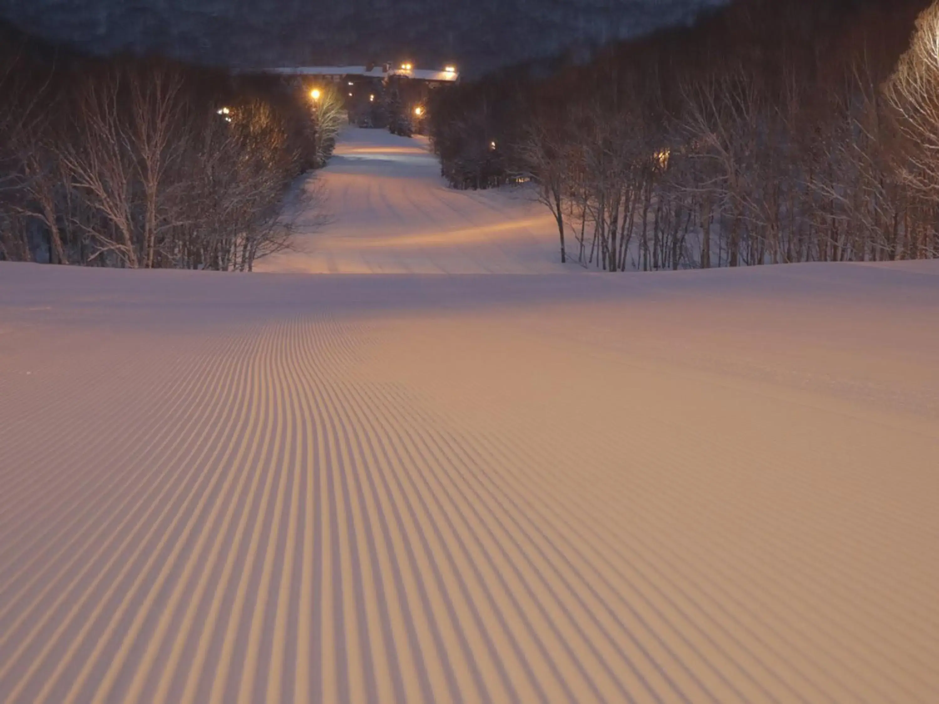 Skiing, Winter in Shigakogen Prince Hotel