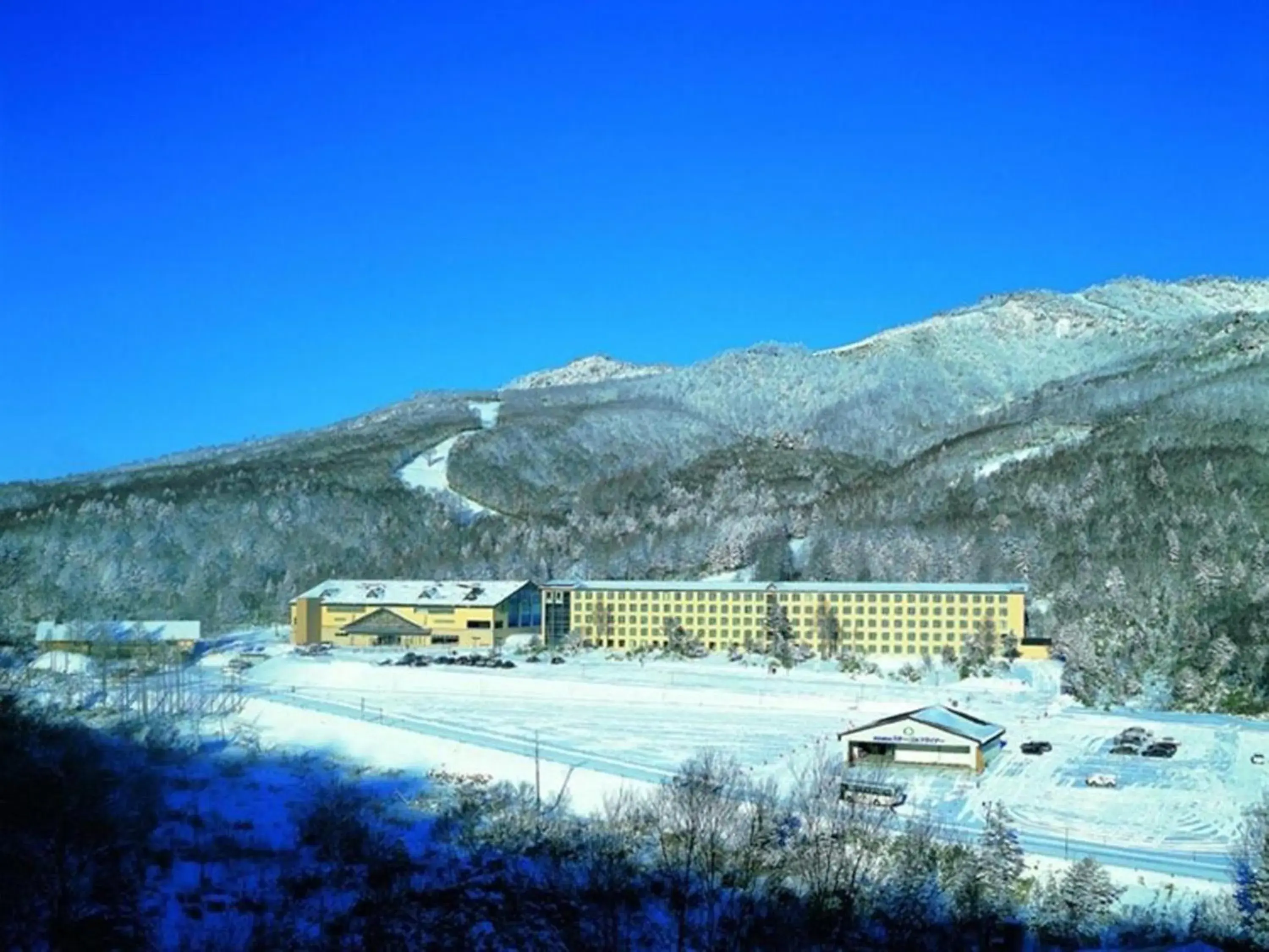 Natural landscape, Property Building in Shigakogen Prince Hotel