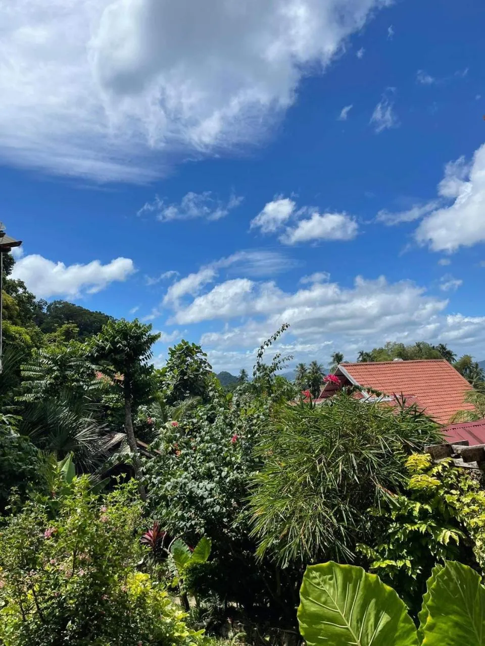 Day in Novie's Tourist Inn