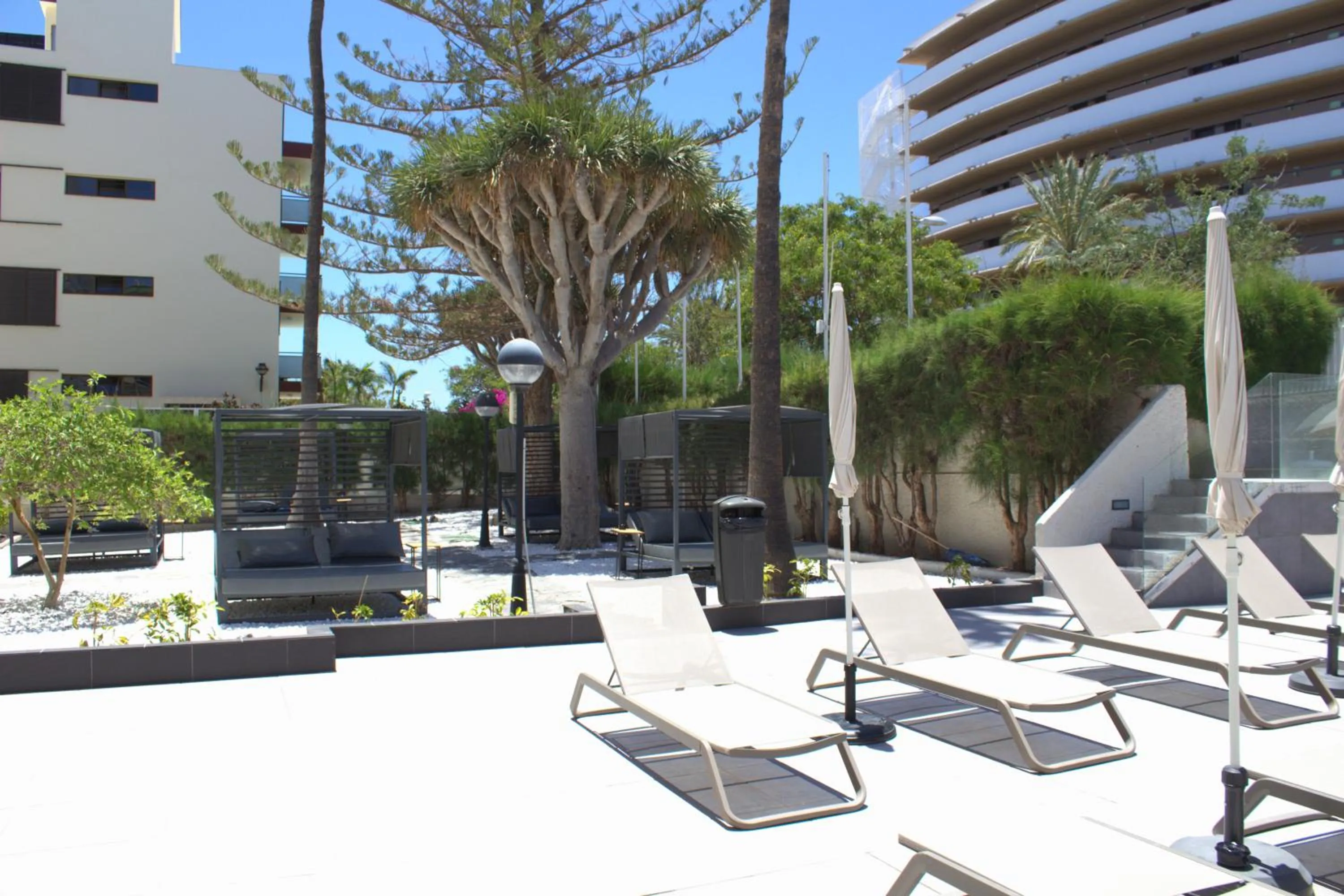 sunbed in Apartamentos Fayna