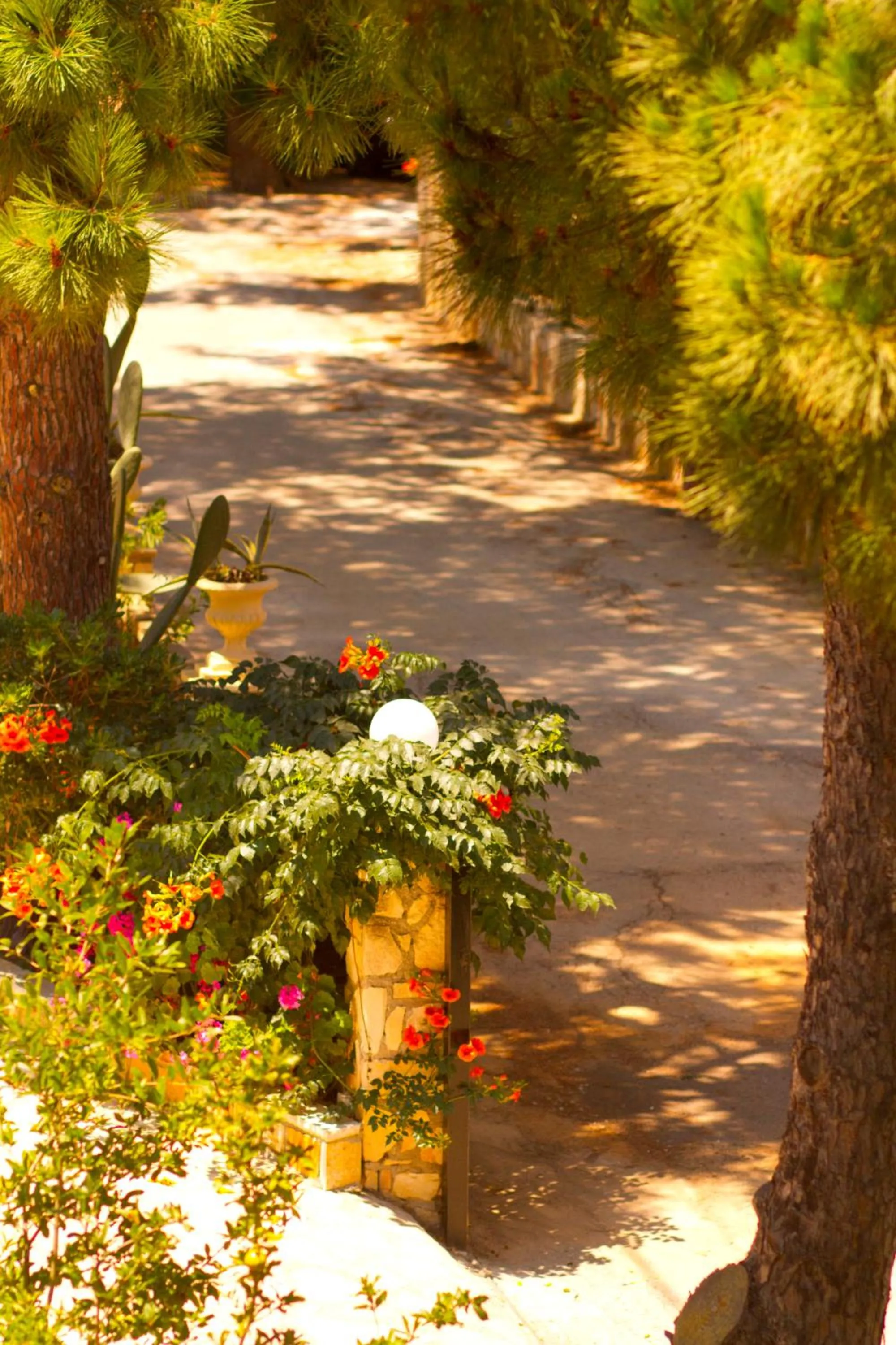 Garden in Pyrgaraki Studios and Apartments