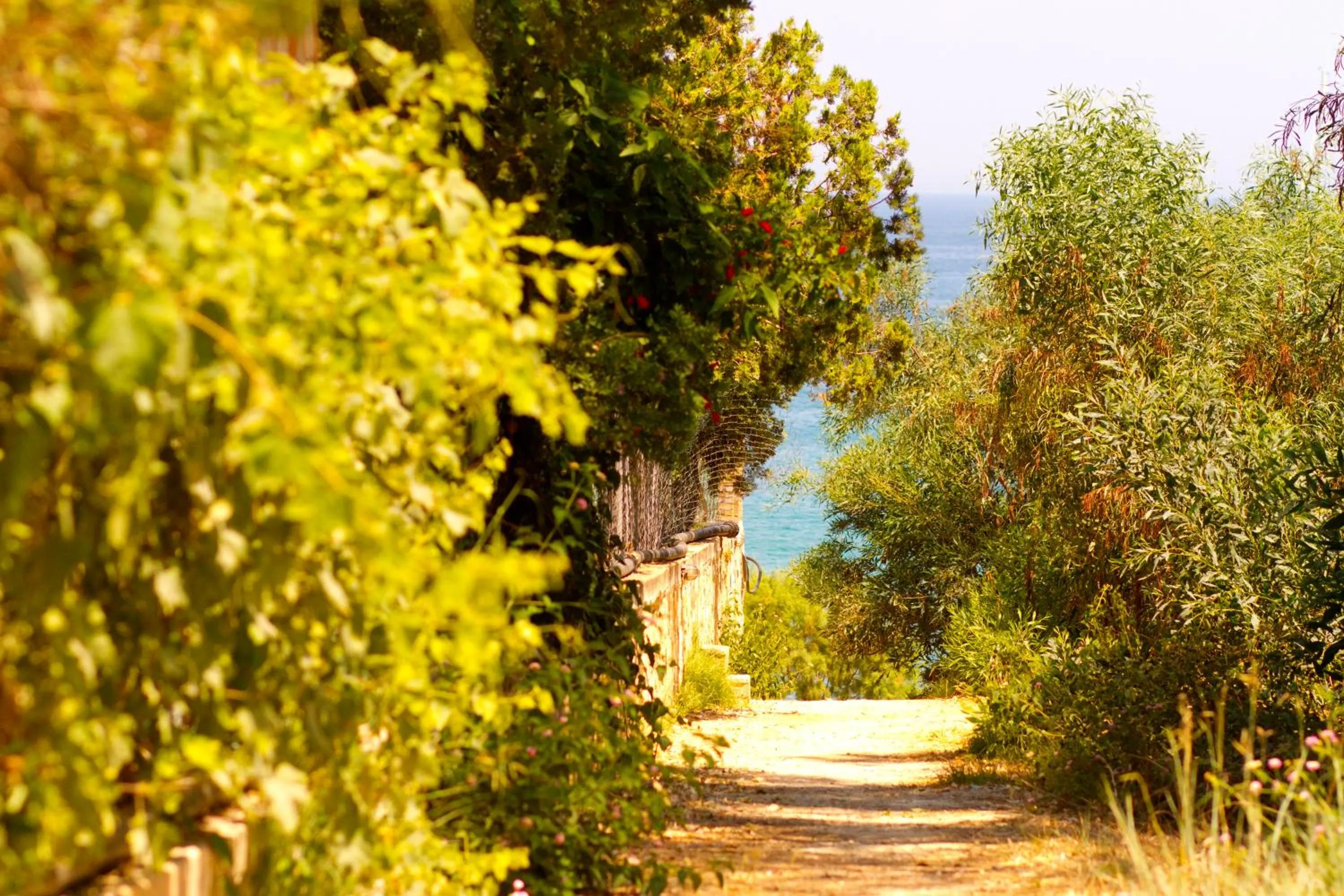 Neighbourhood in Pyrgaraki Studios and Apartments