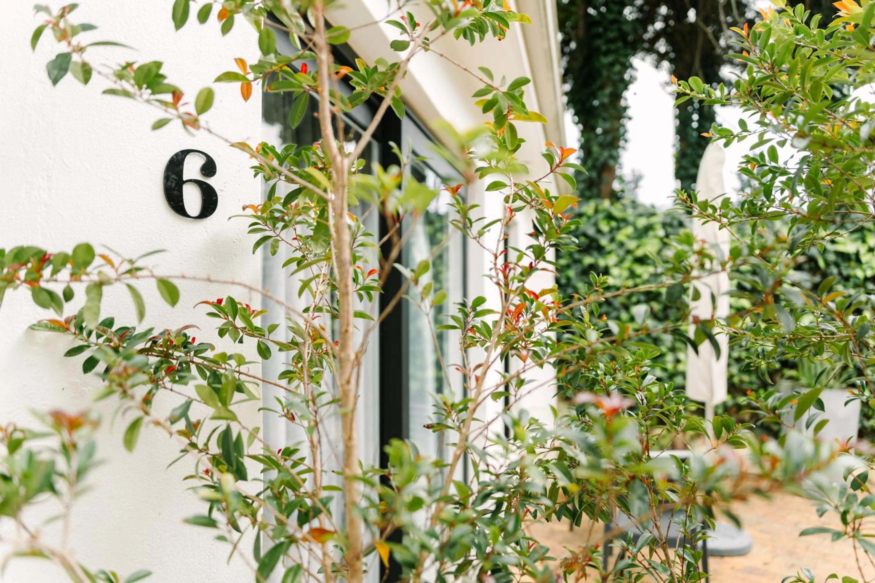 Swimming pool in The Salene Hotel & Apartments