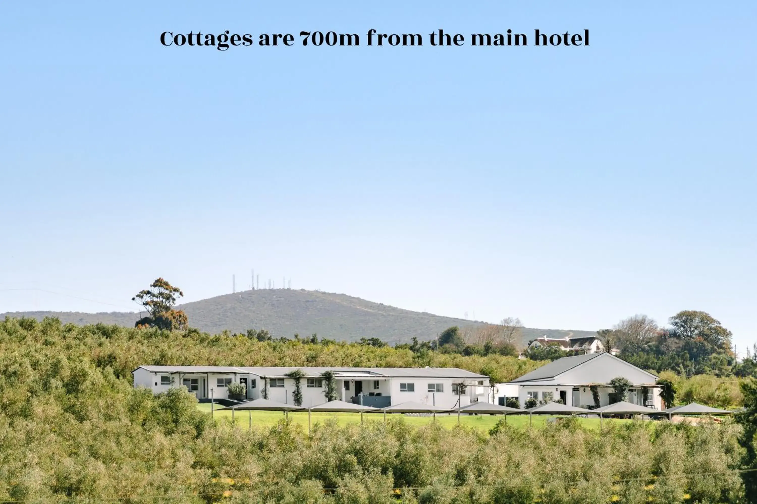 Apartment in The Salene Hotel & Apartments Apartment in The Salene Hotel & Apartments